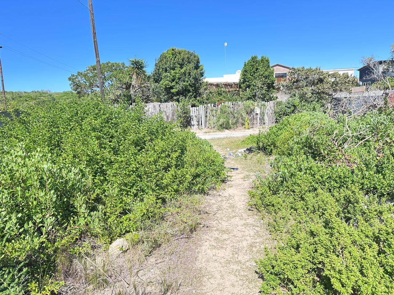Image 4 of 6