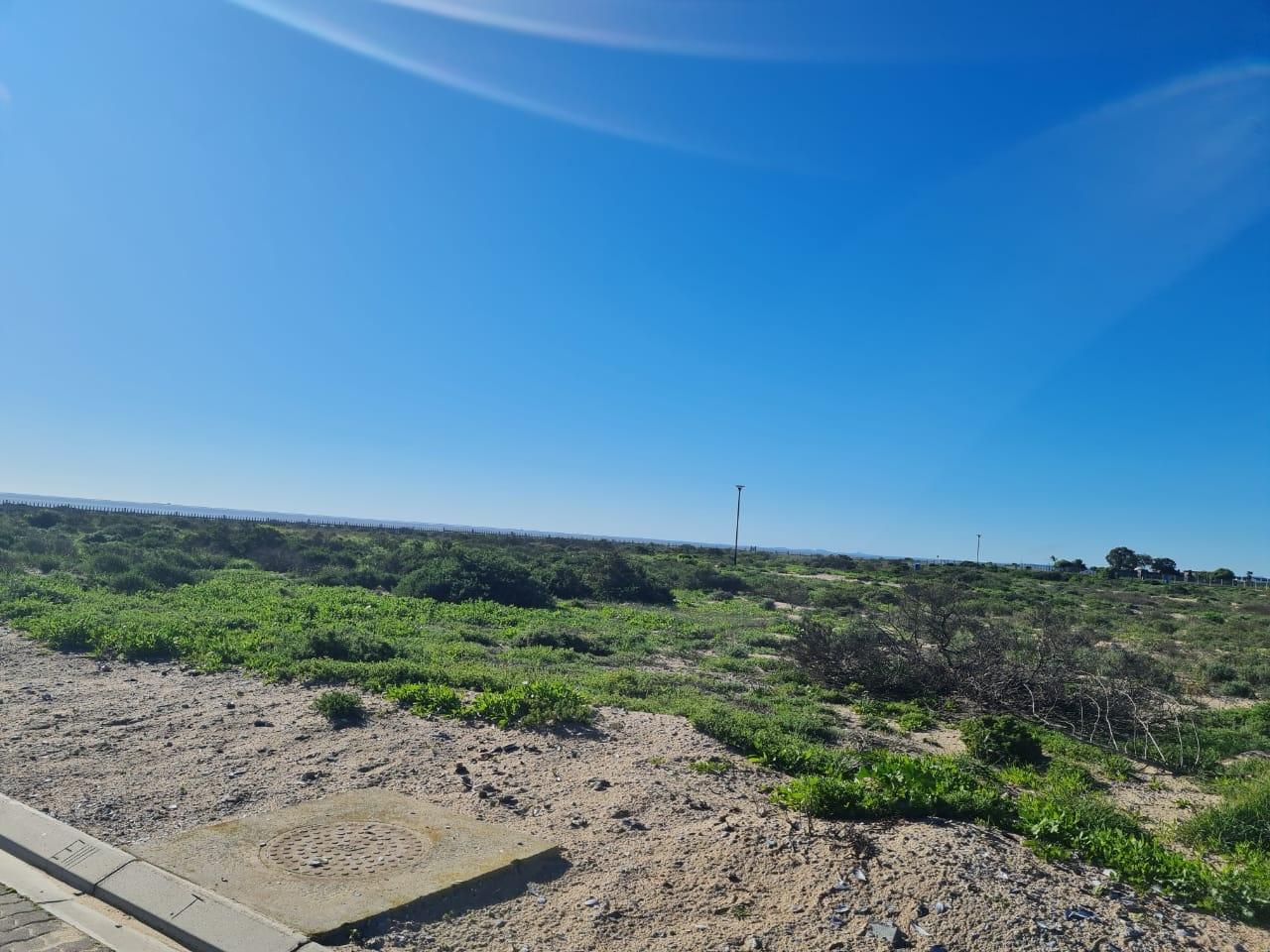 Image 17