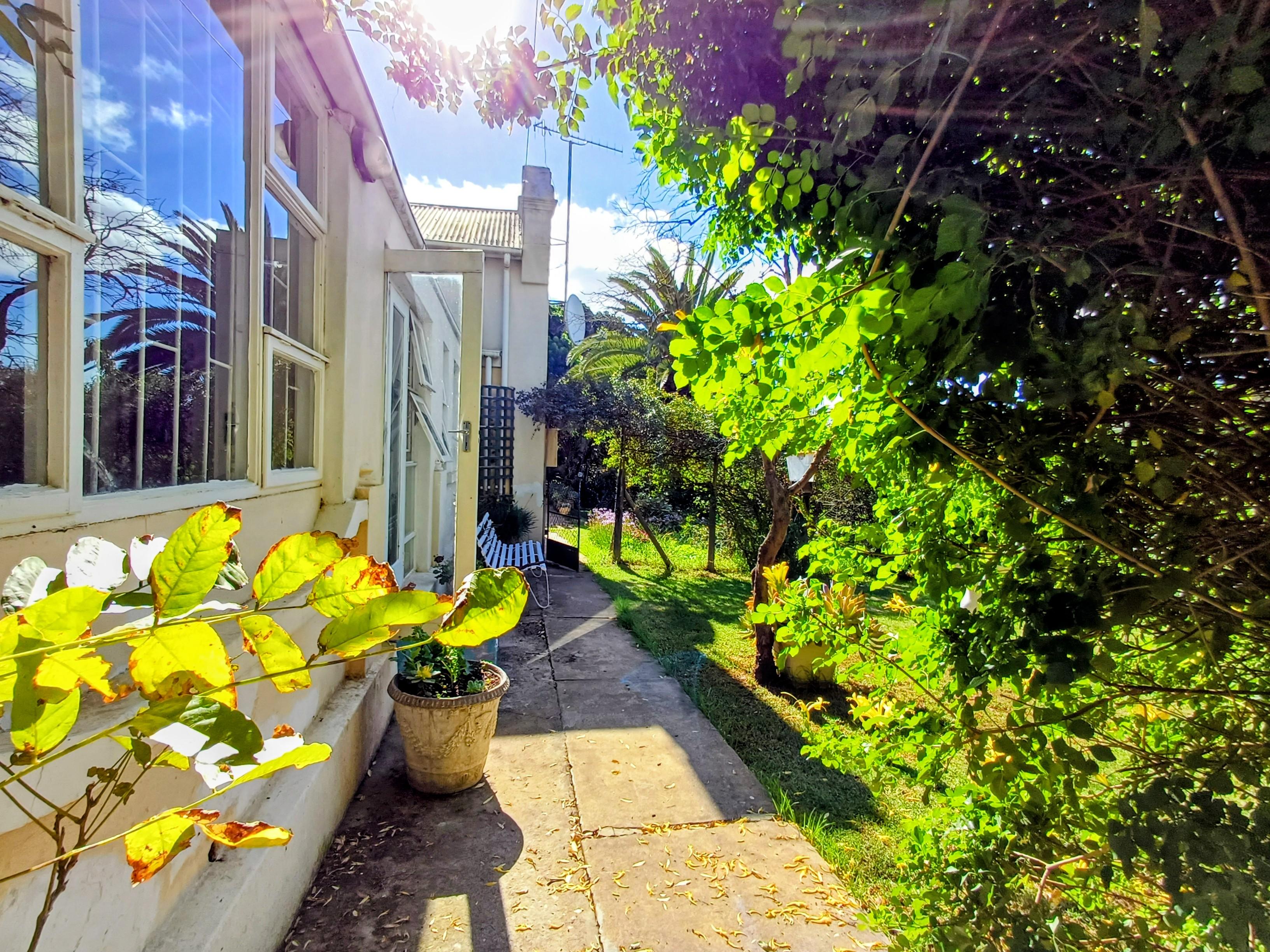 Image 15