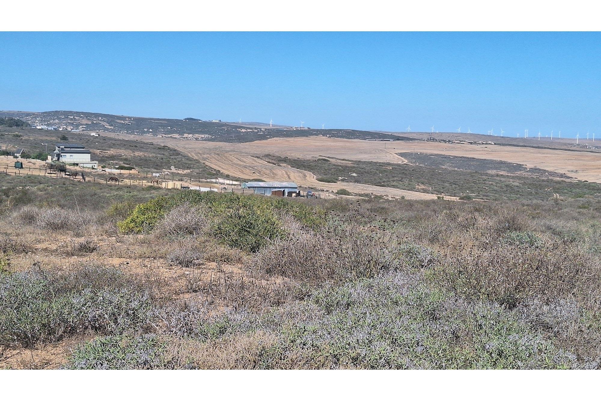 Image 12
