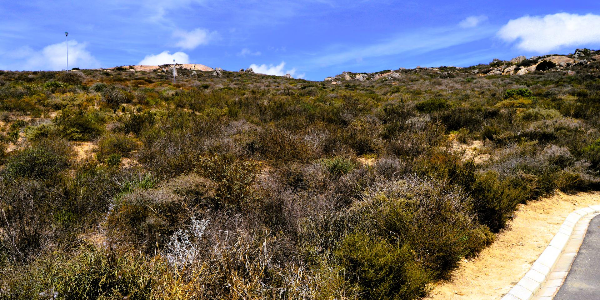 Image 3 of 6