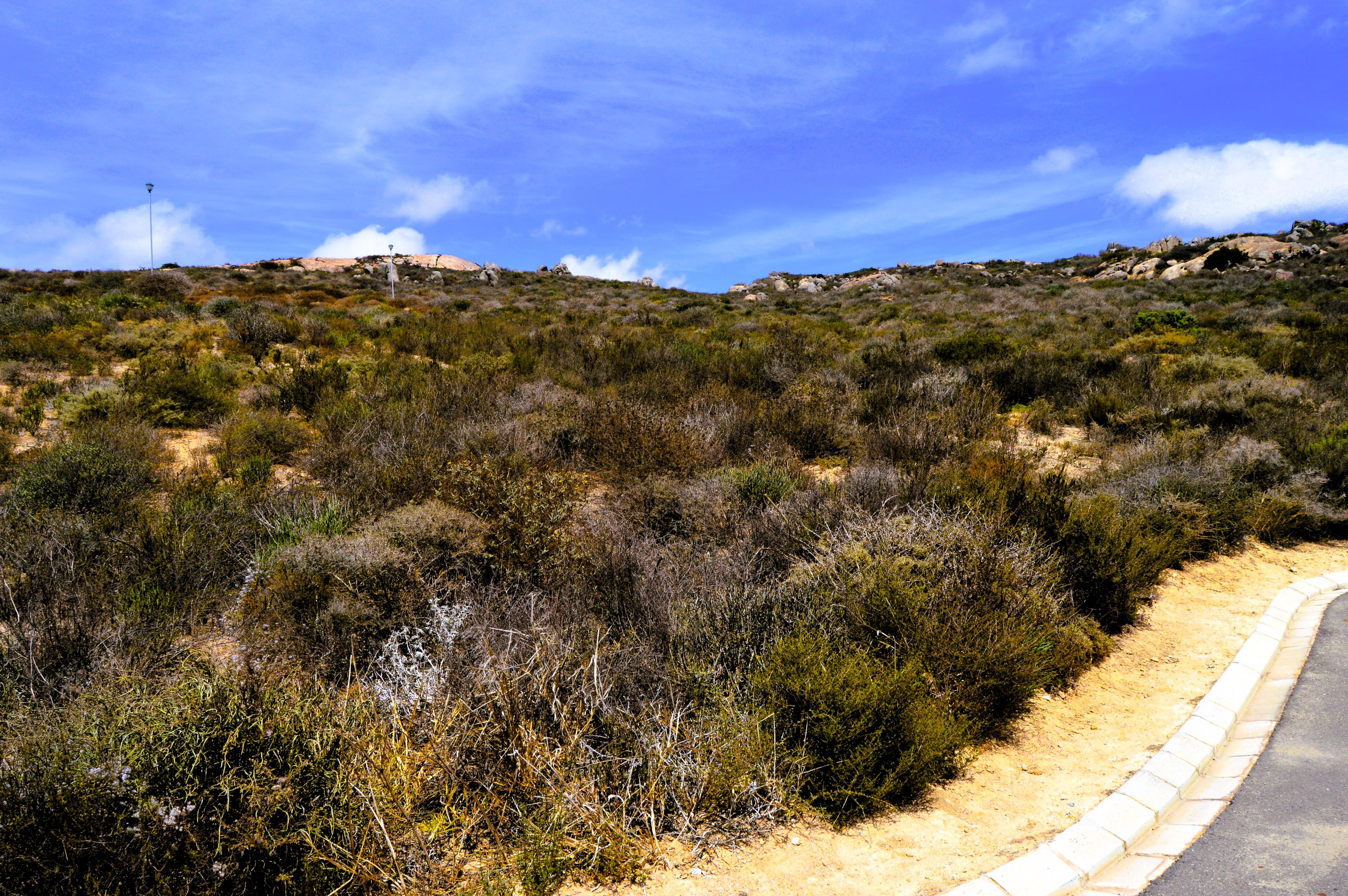 Image 3 of 6