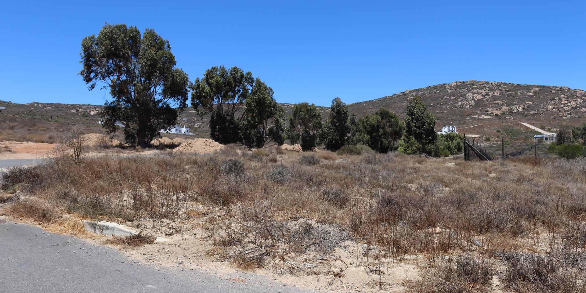 Image 5 of 6