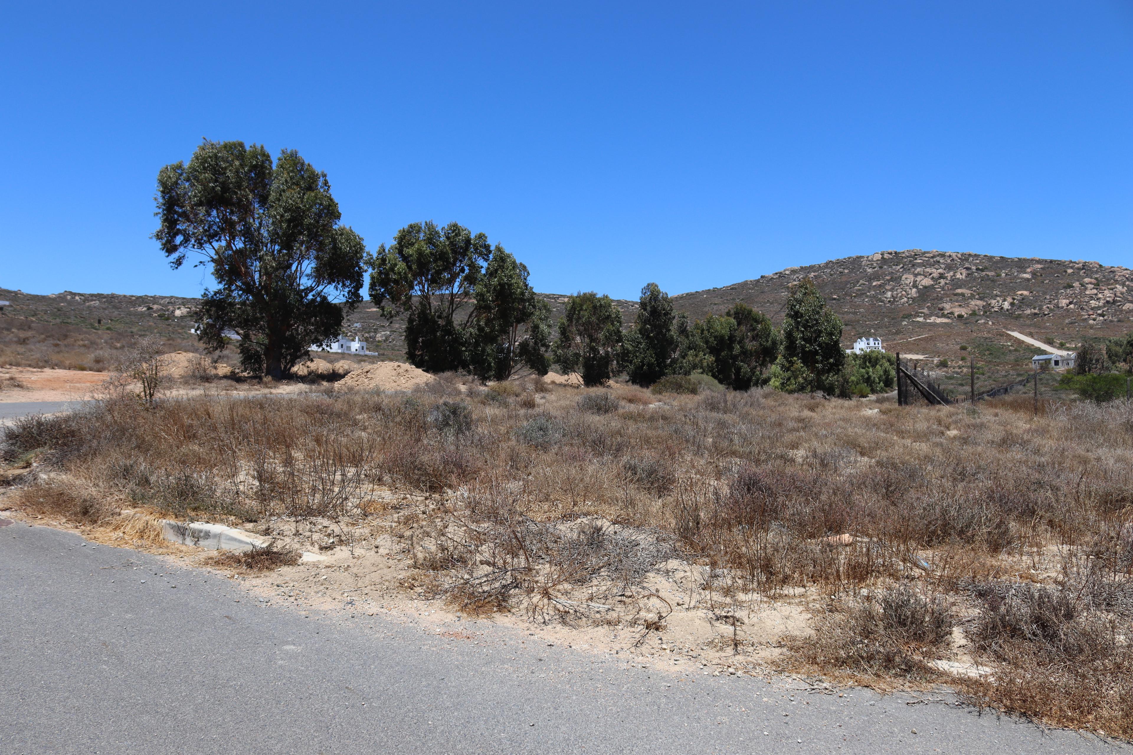 Image 5 of 6