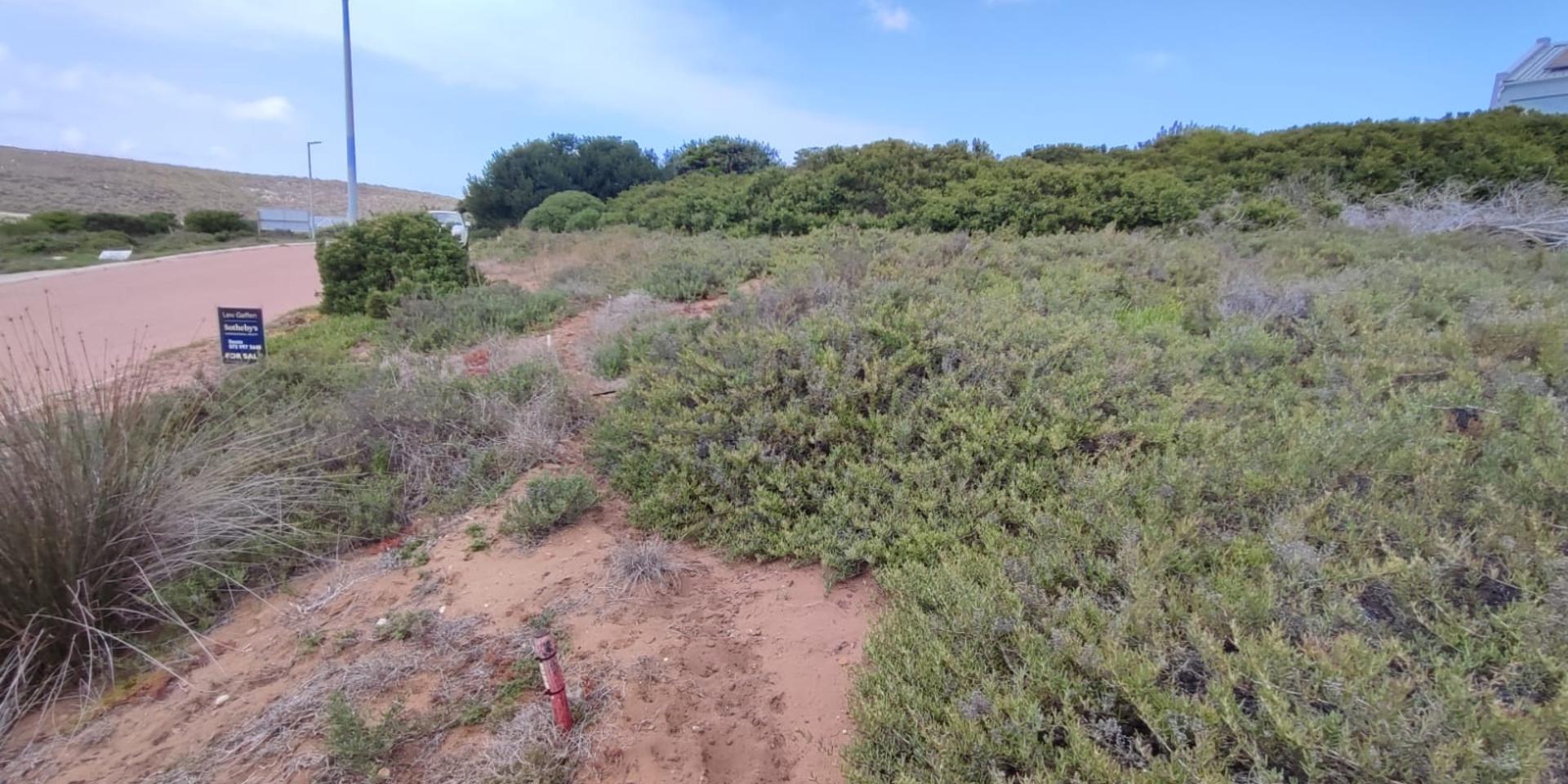 Image 4 of 6