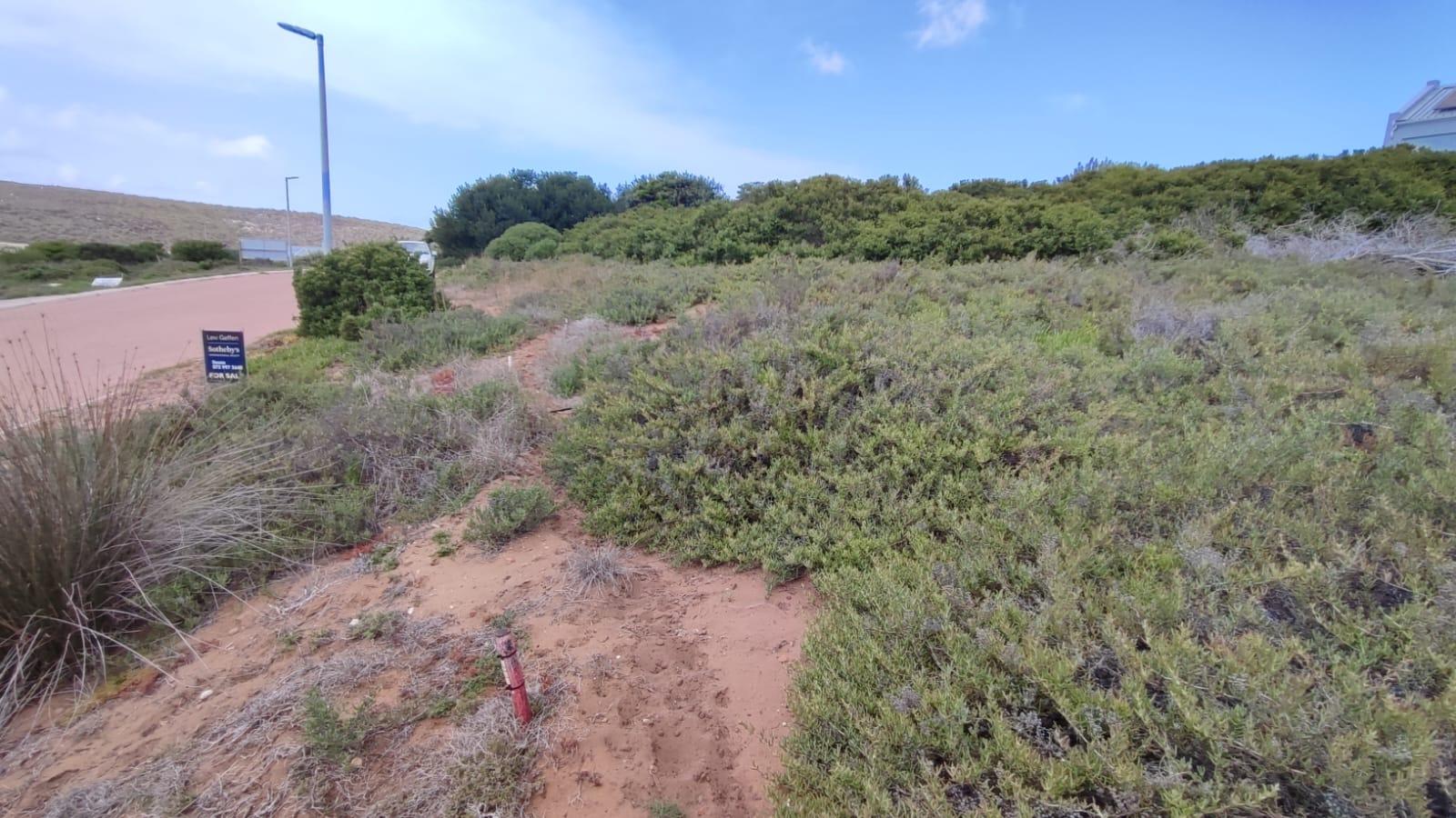 Image 4 of 6