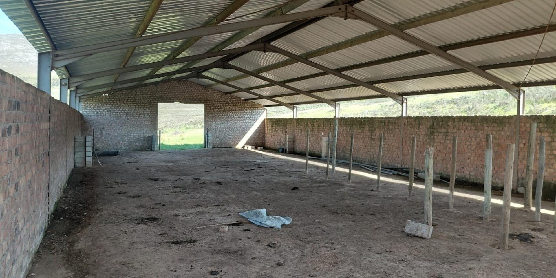Image 5 of 6
