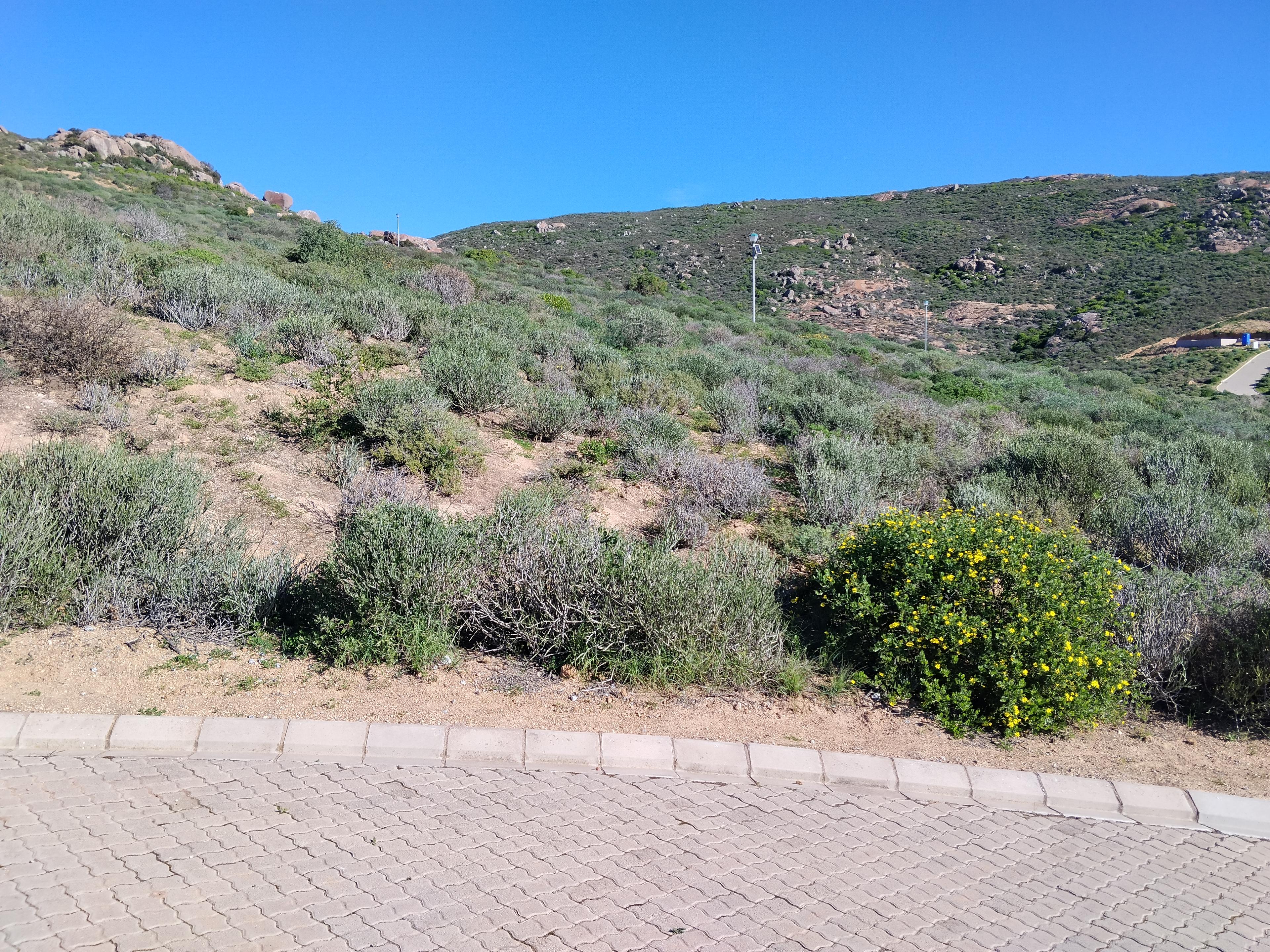 Image 5 of 6