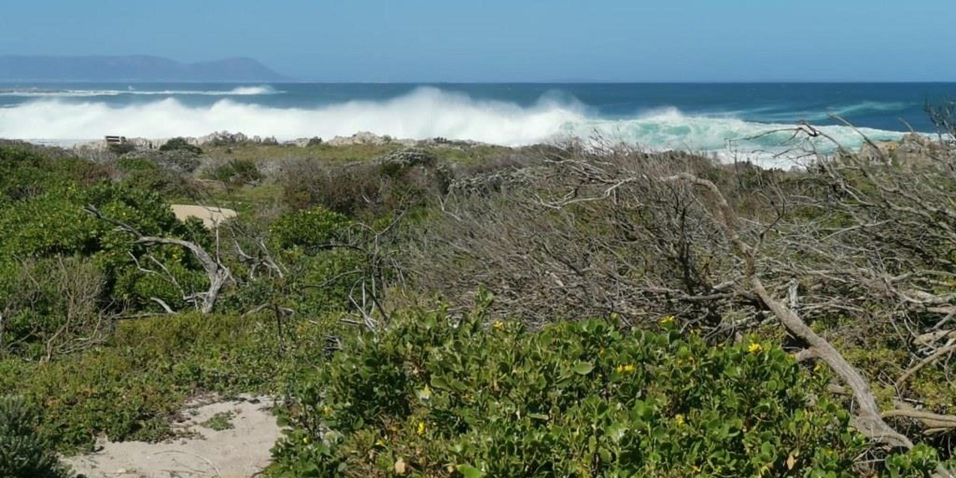 Image 5 of 6