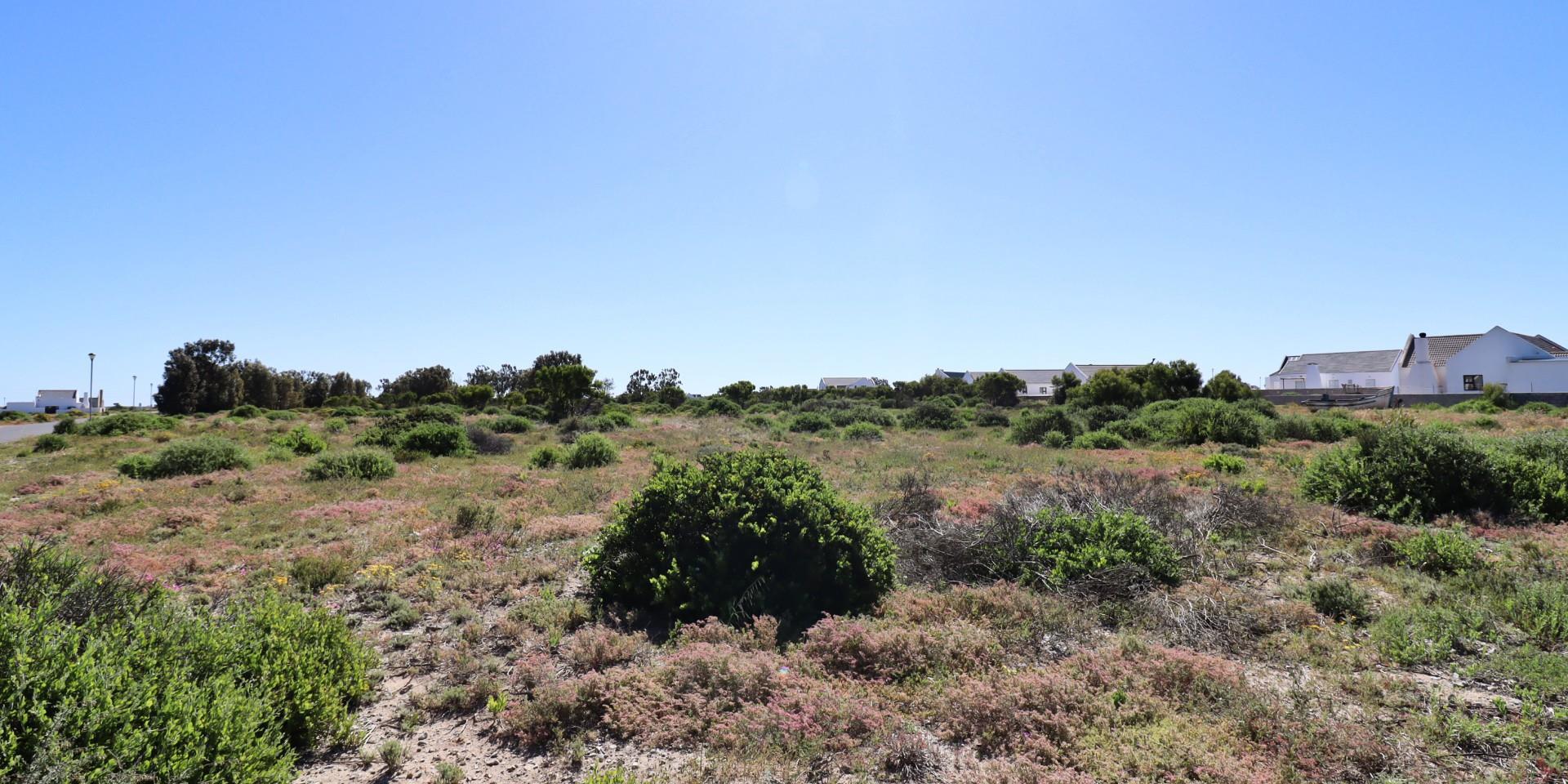 Image 5 of 6