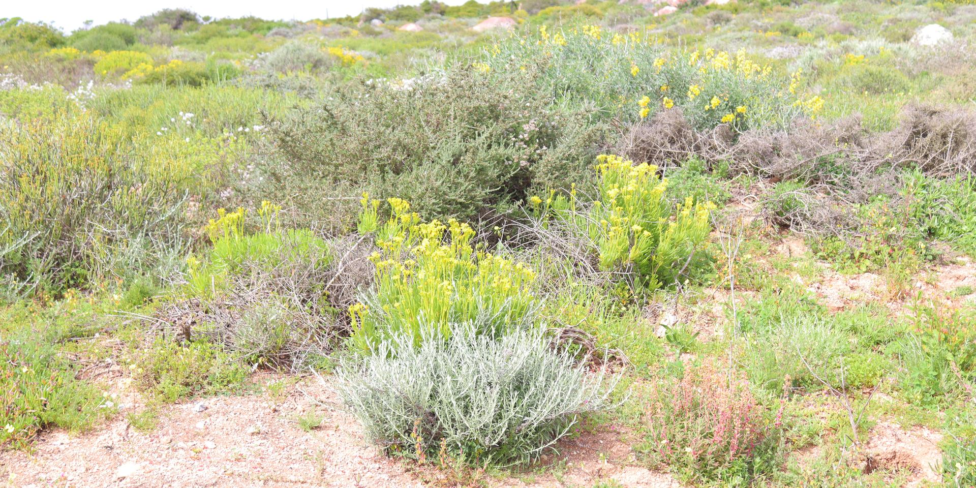 Image 5 of 6