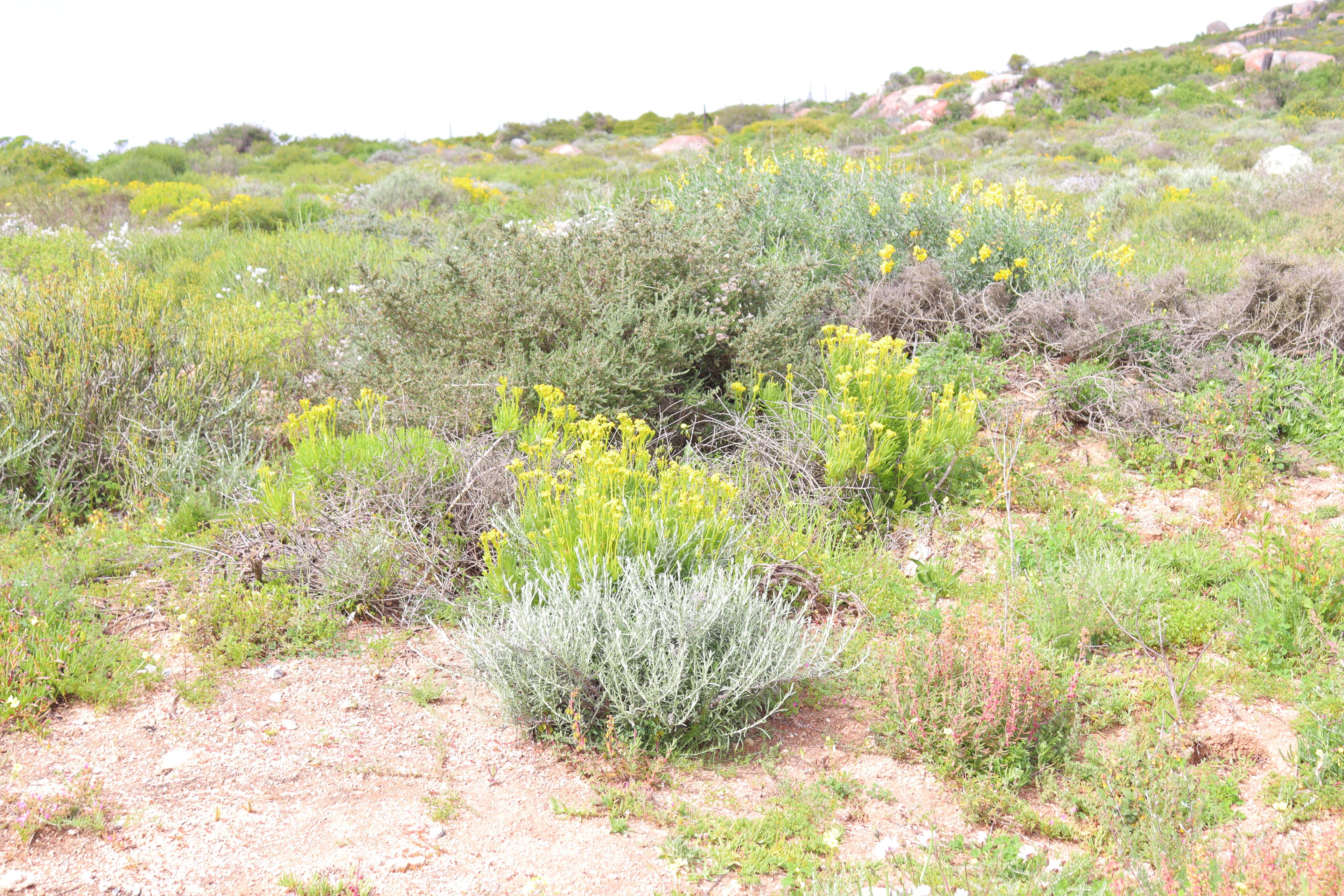 Image 5 of 6