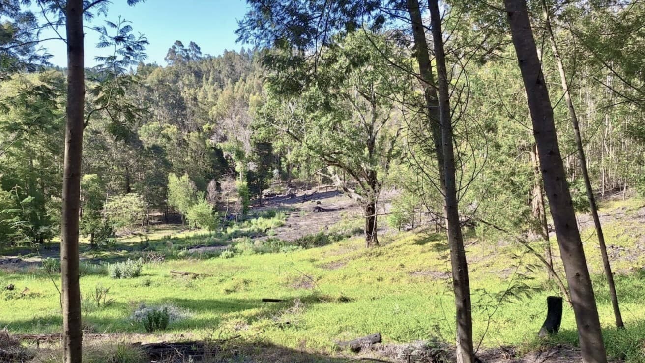 Image 11