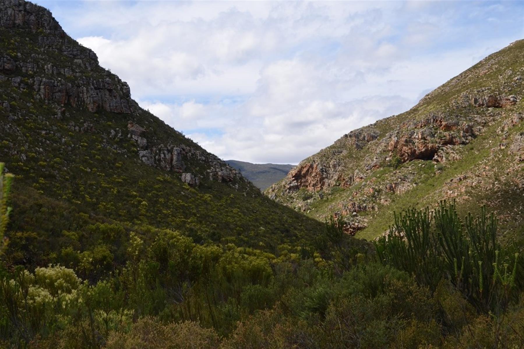 Image 51
