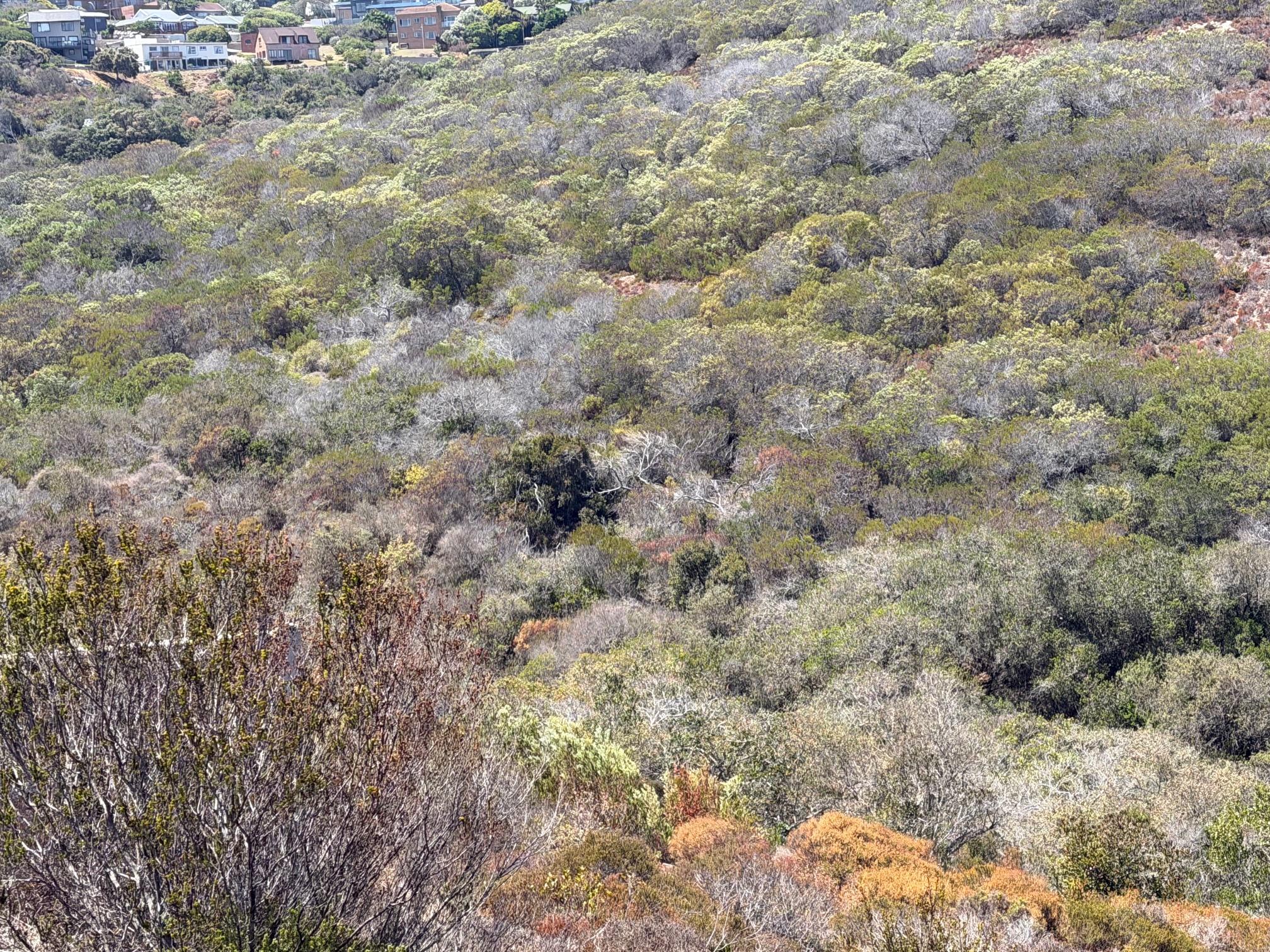 Image 2 of 6