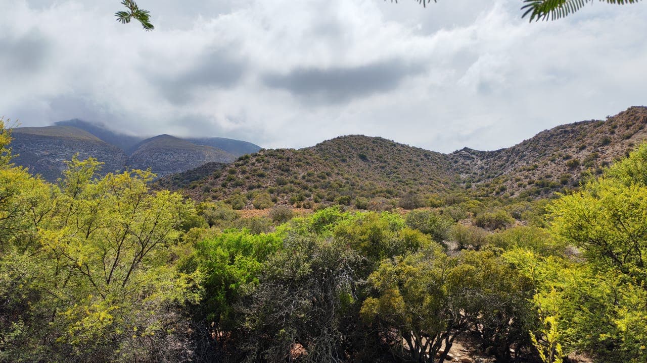 Image 12