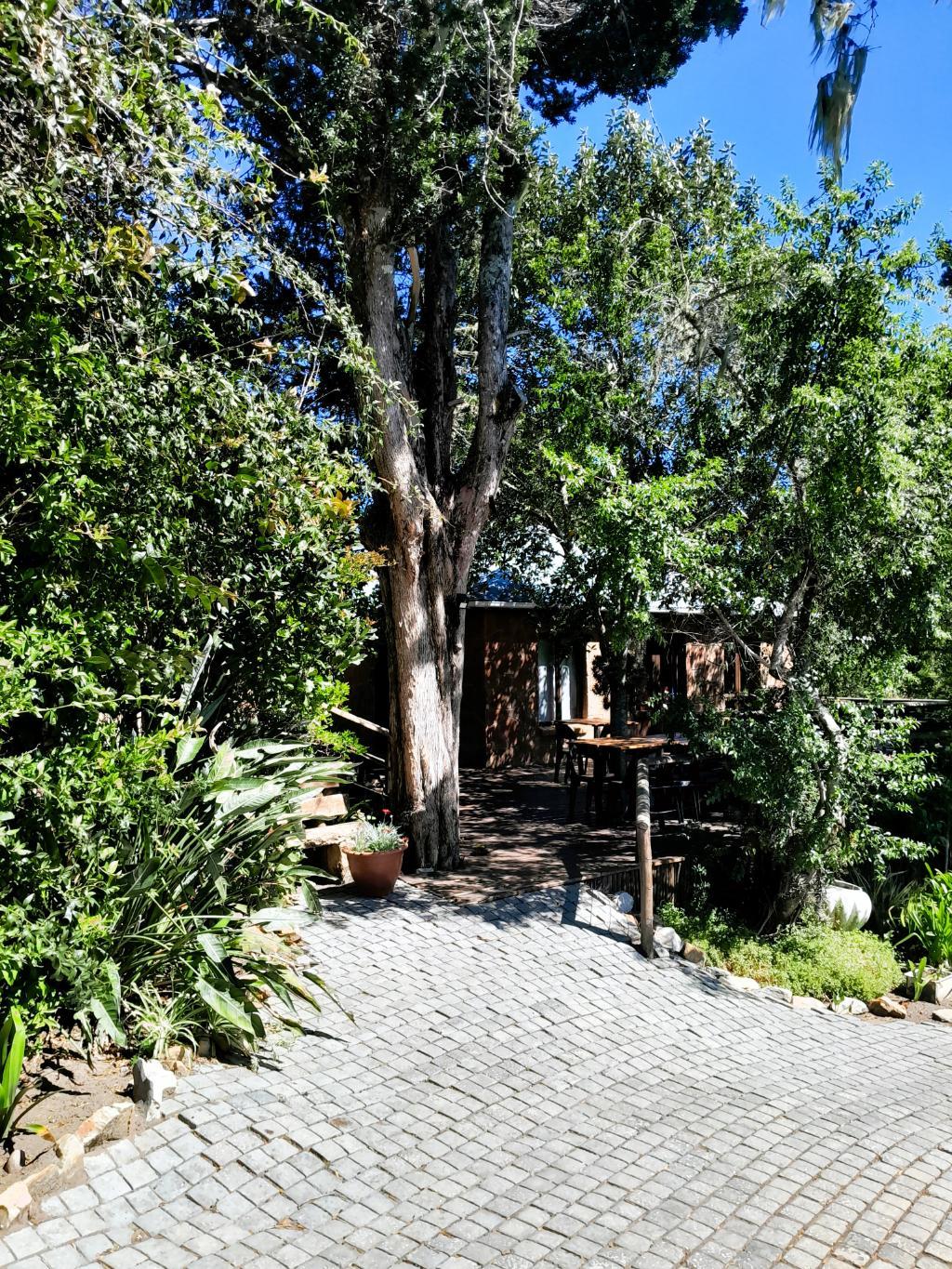 Image 5 of 6