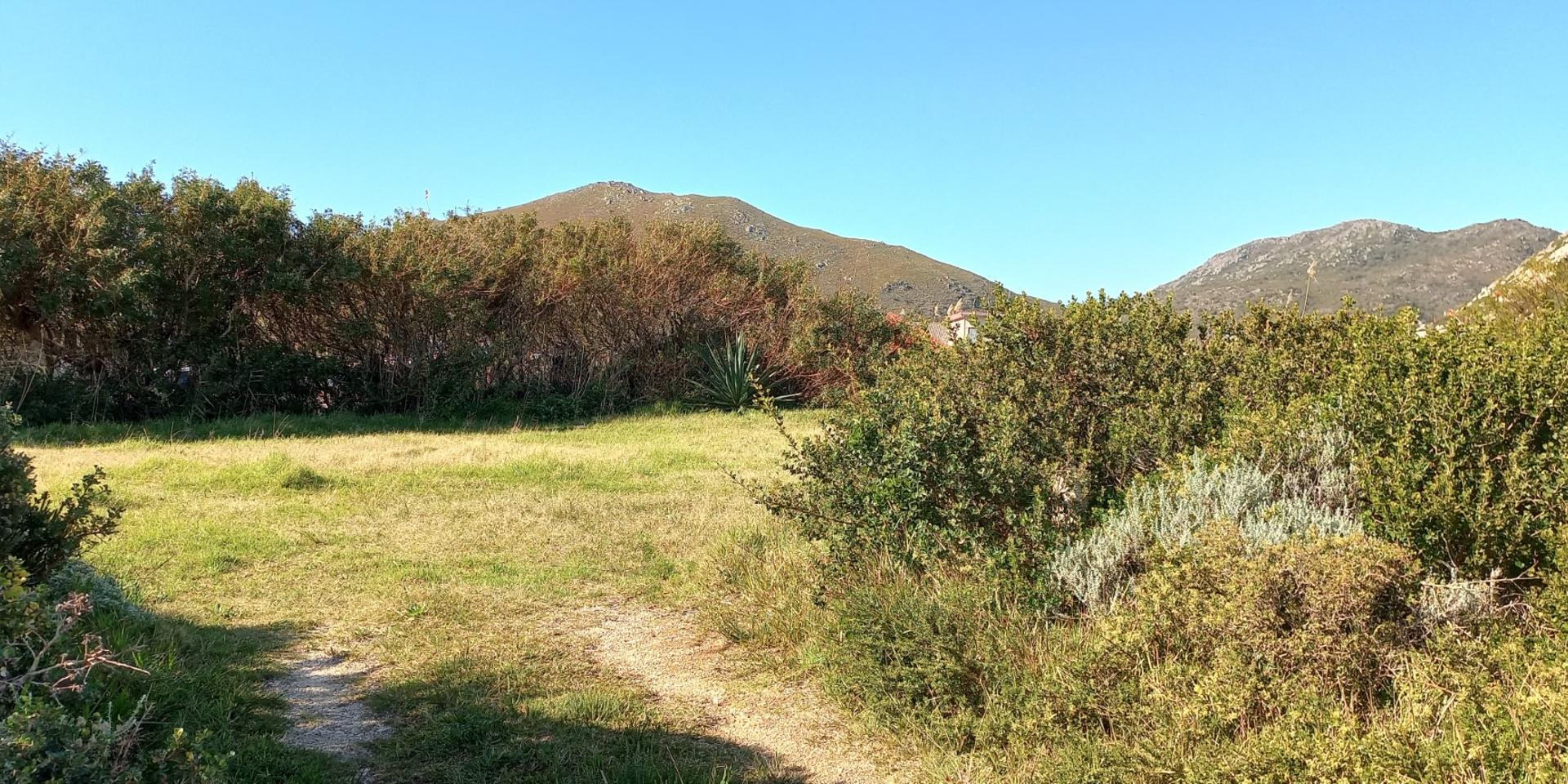 Image 4 of 6