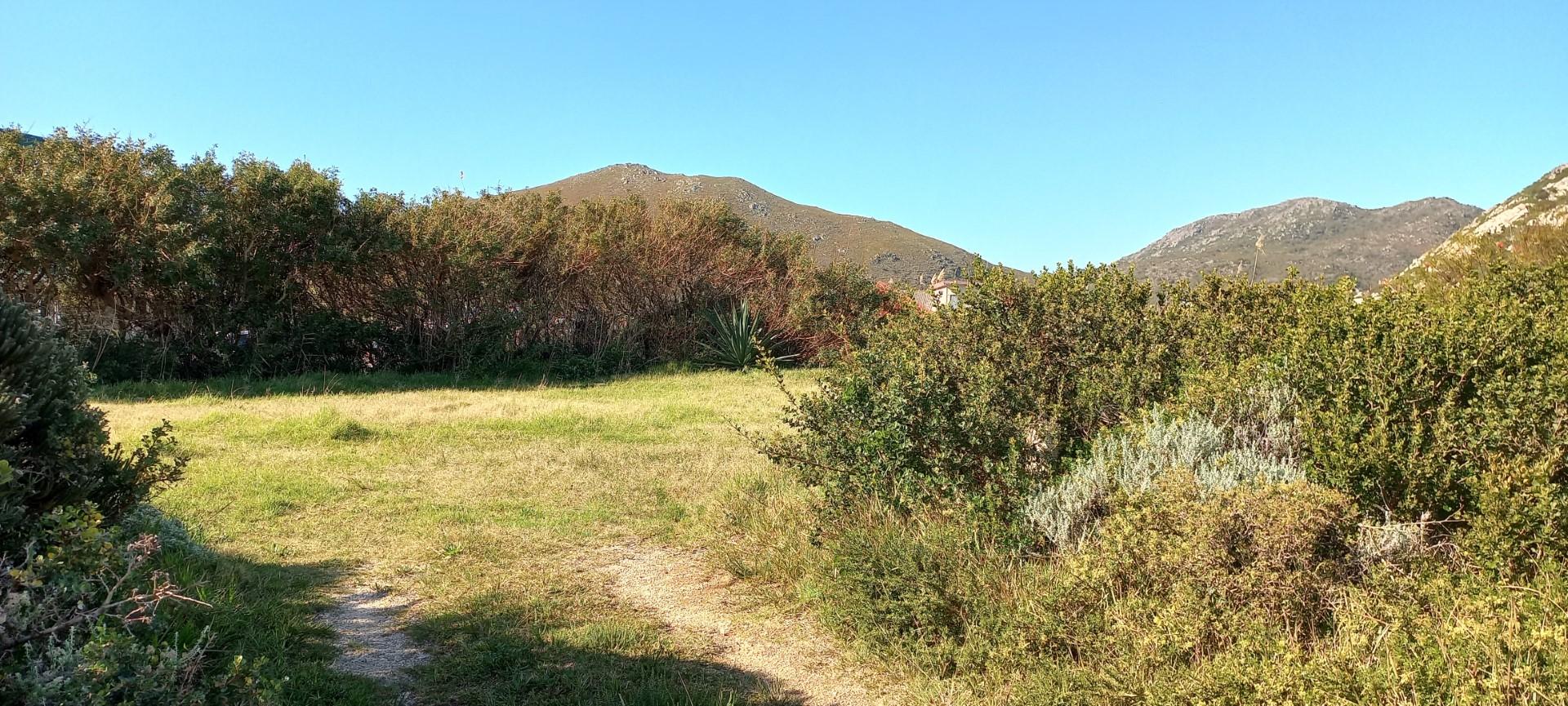 Image 4 of 6