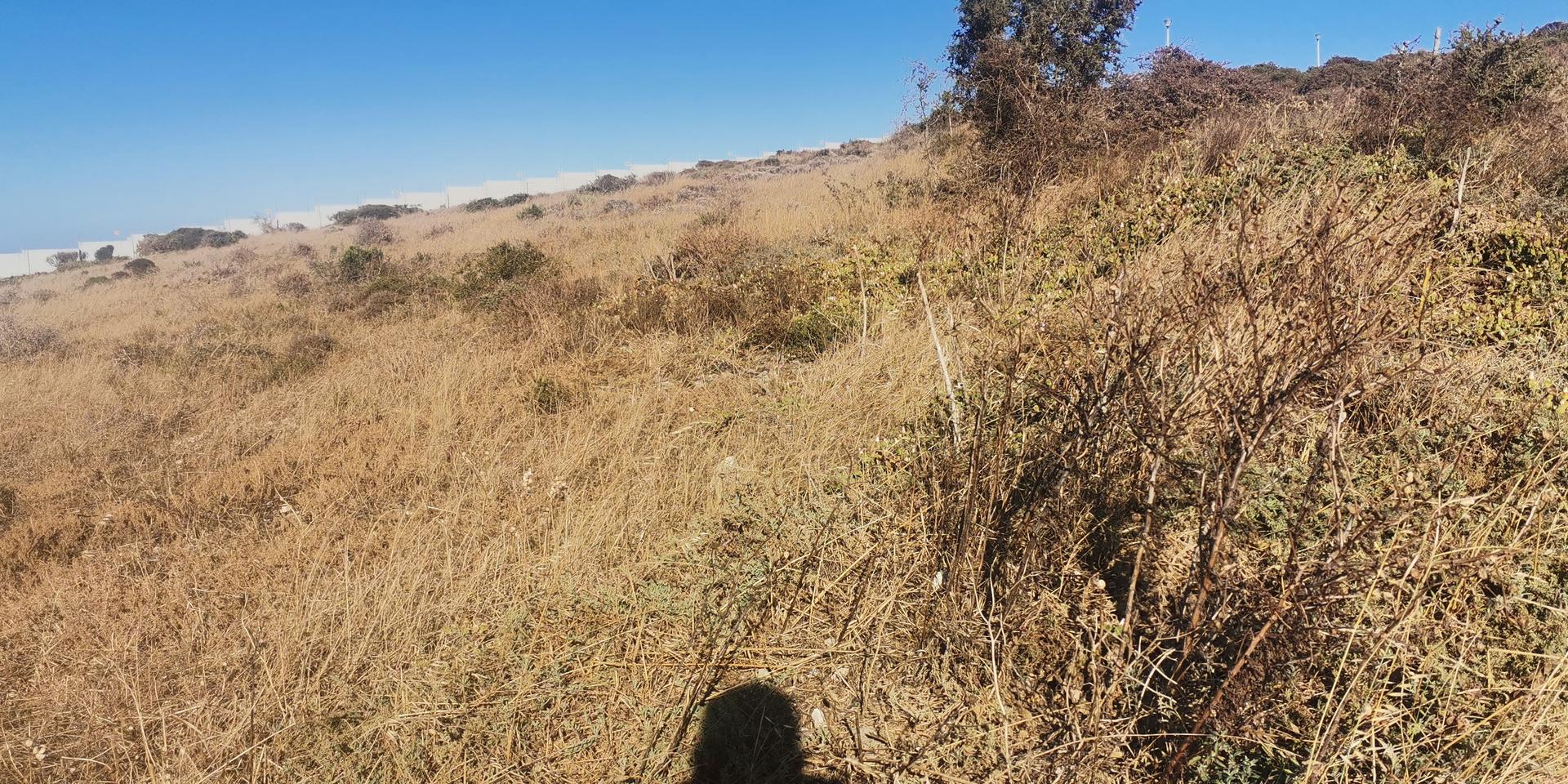 Image 4 of 6