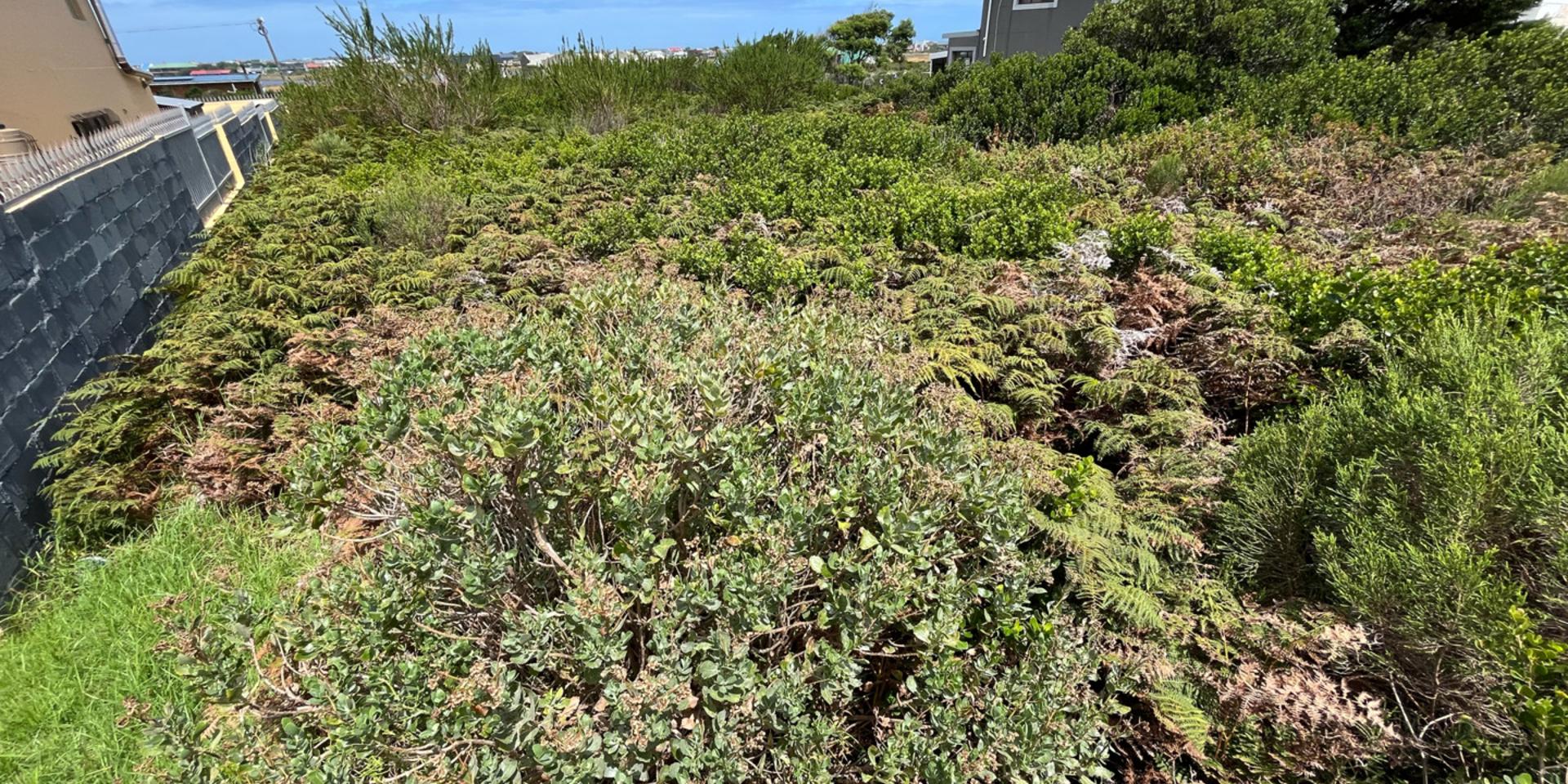 Image 3 of 6