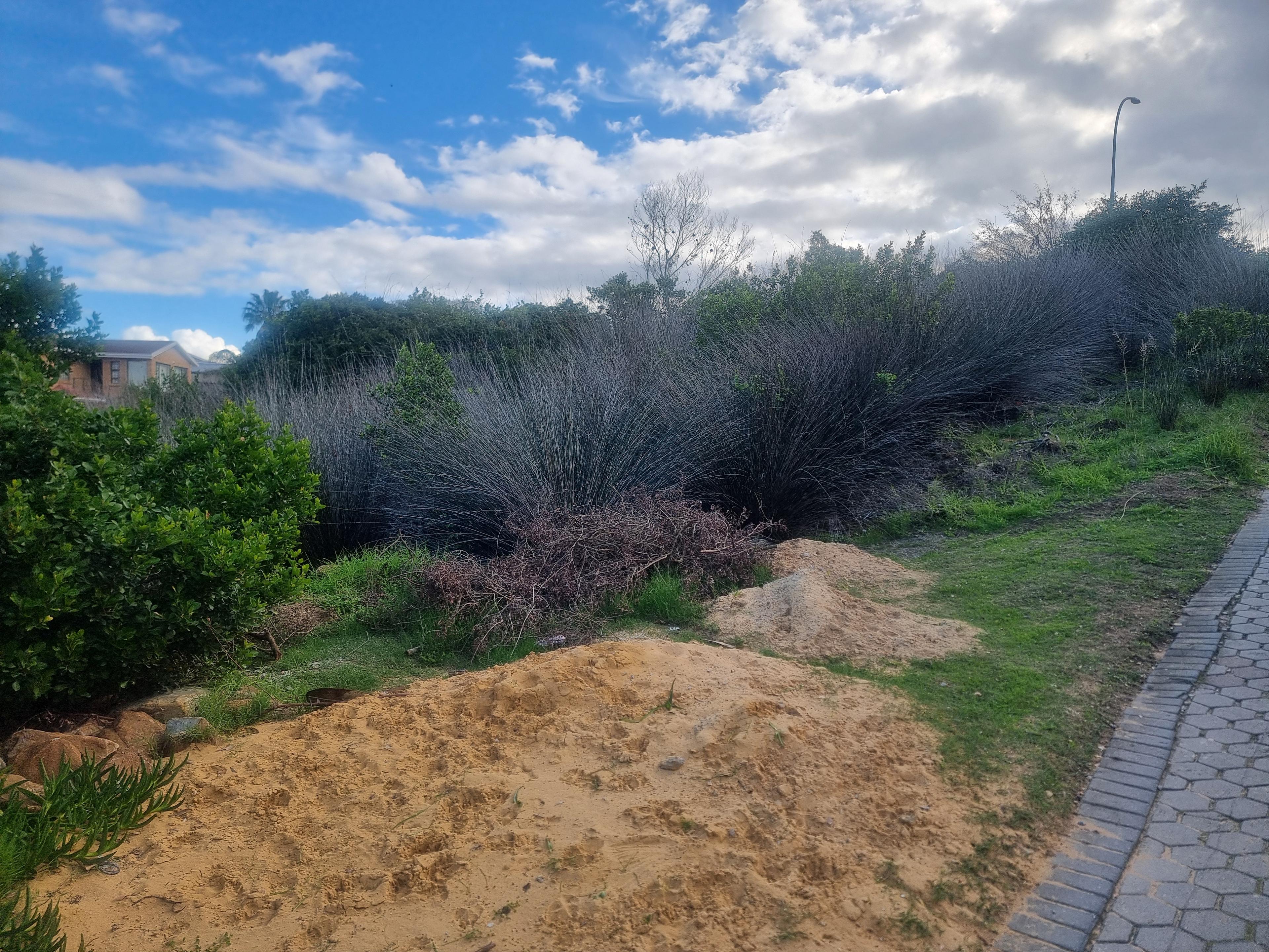 Image 2 of 6