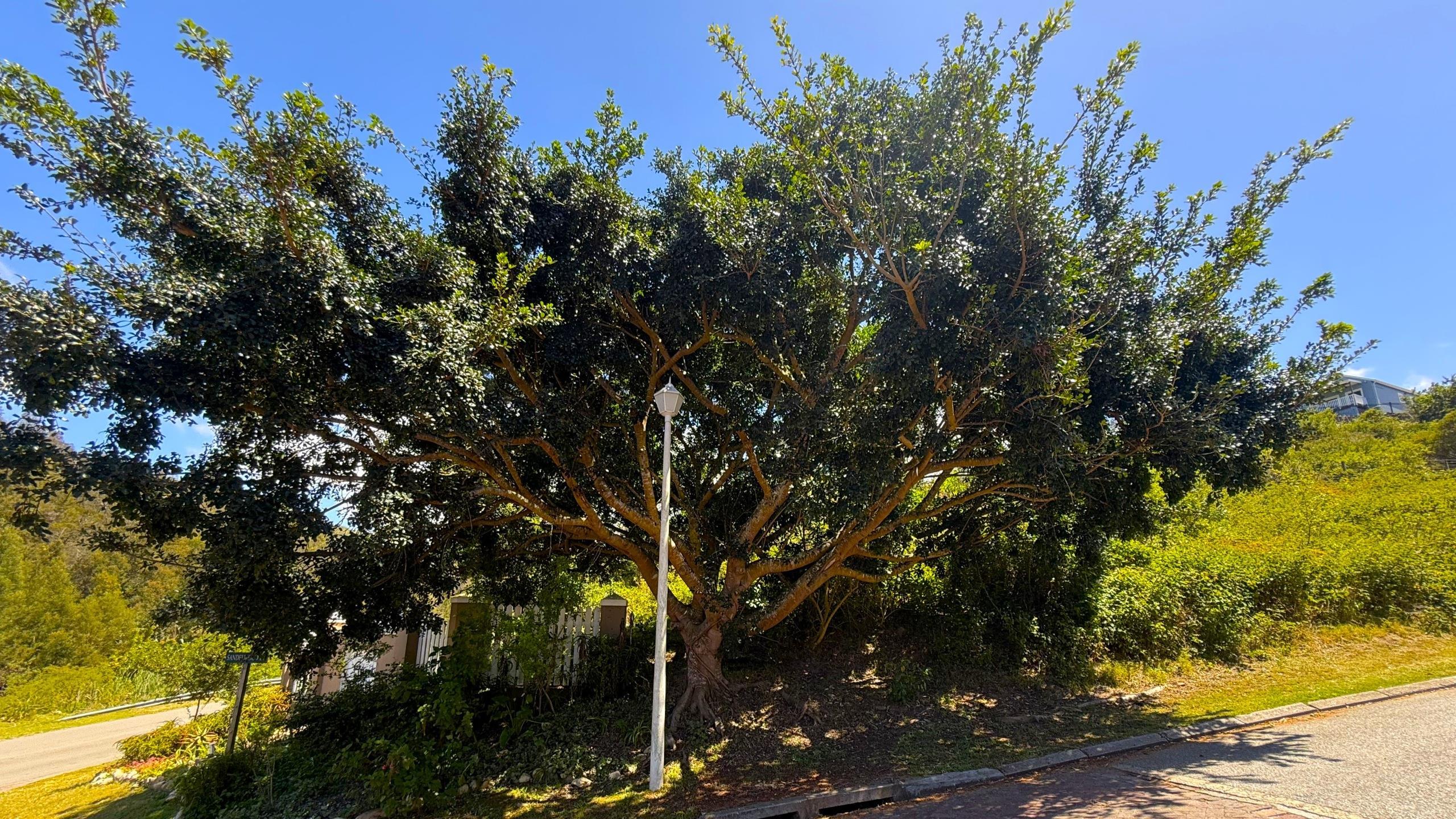 Image 12