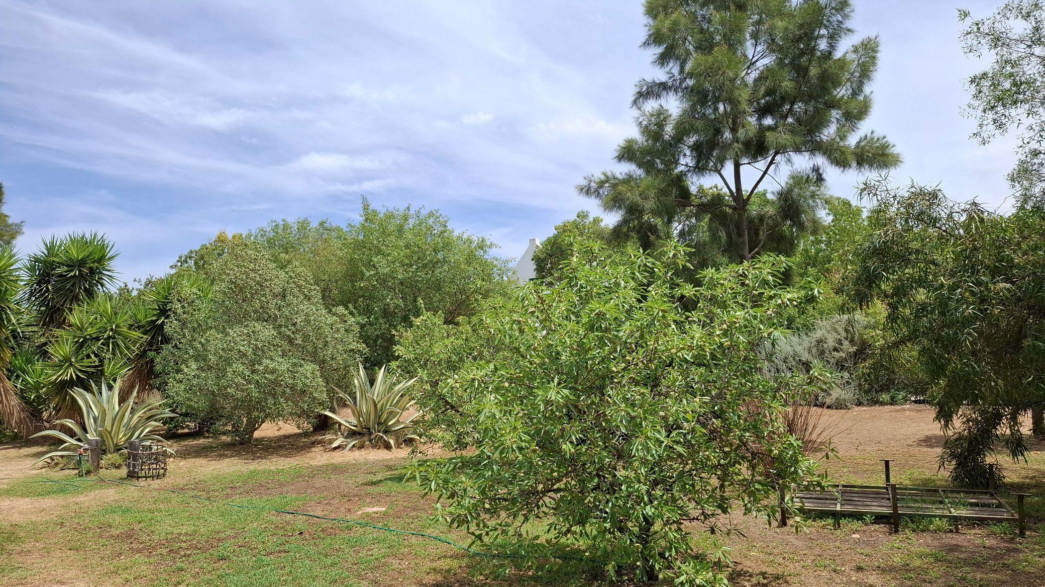 Image 14