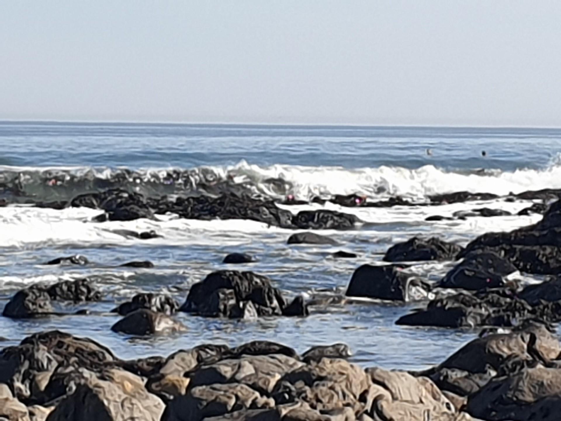 Image 12