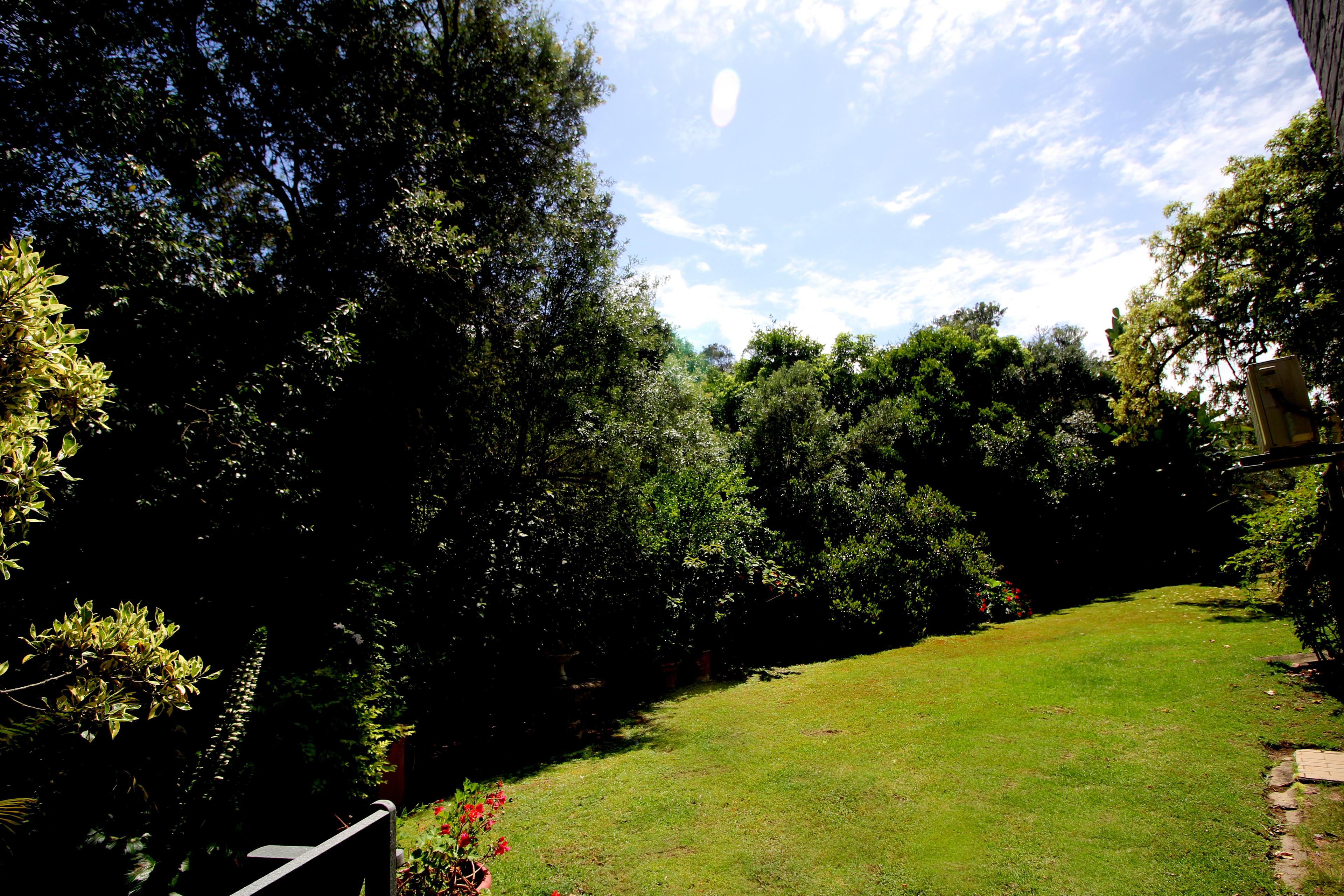 Image 24