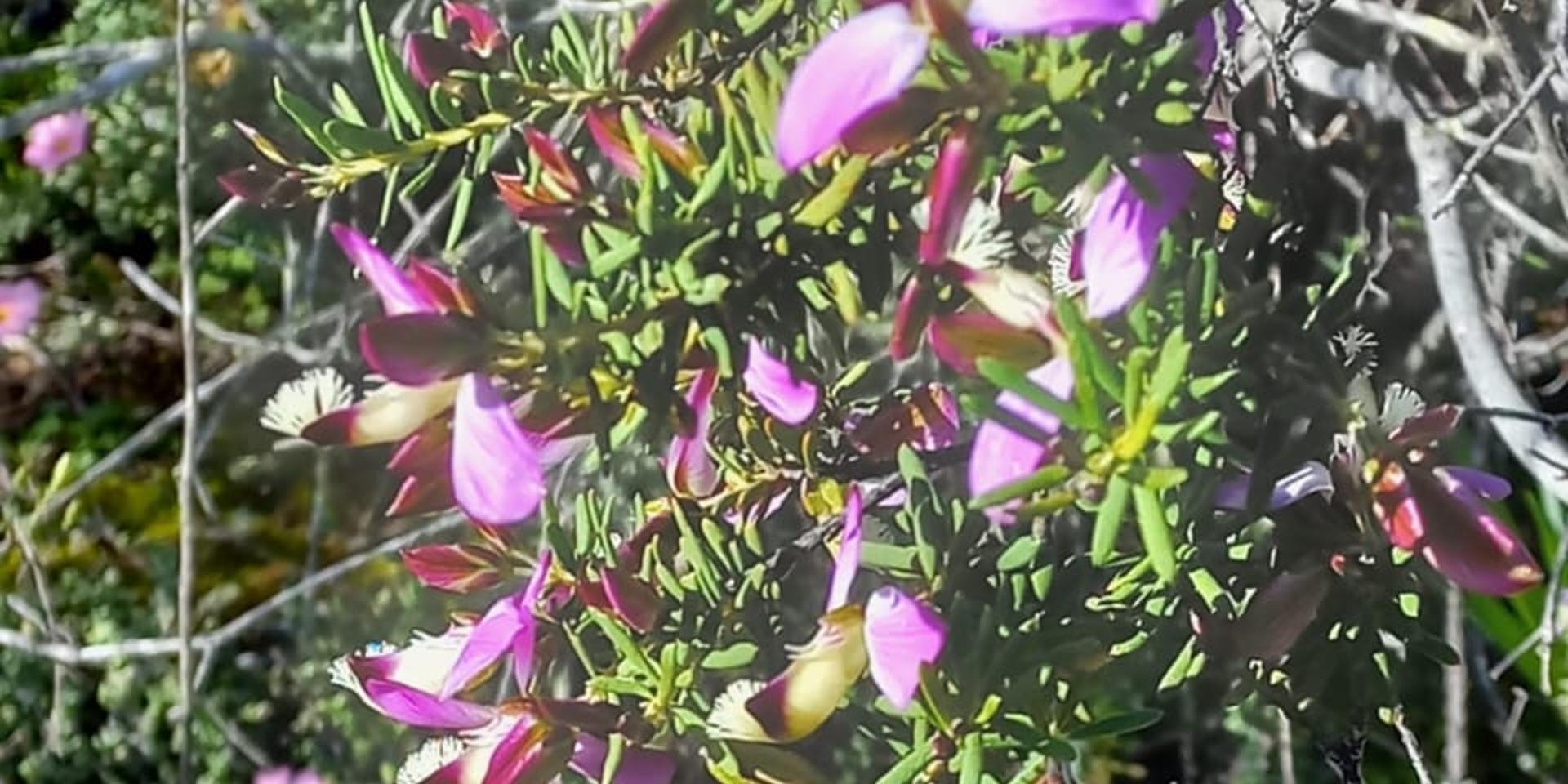 Image 3 of 6