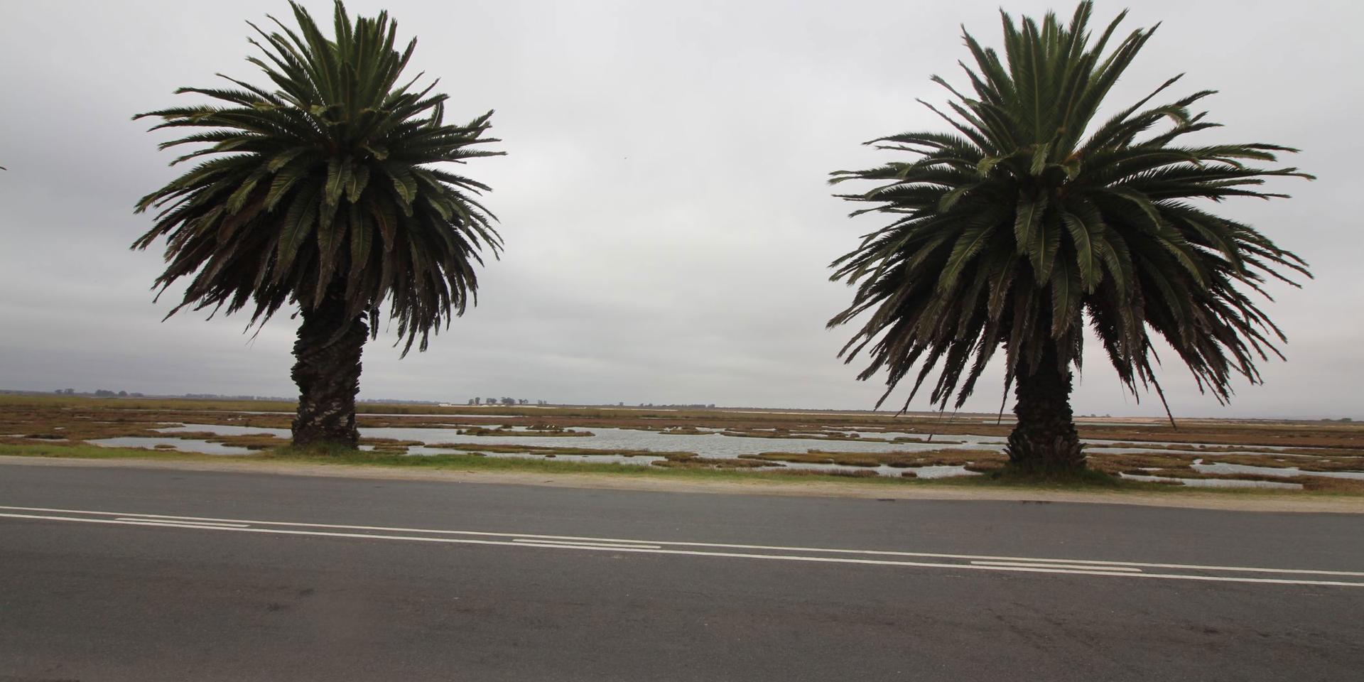 Image 4 of 6