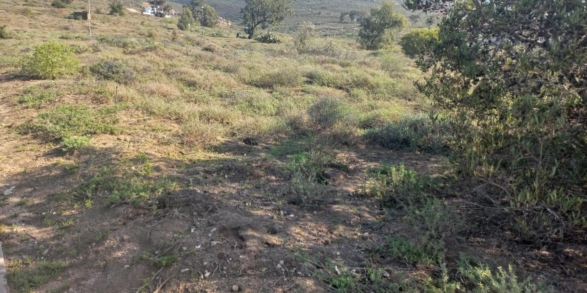 Image 5 of 6