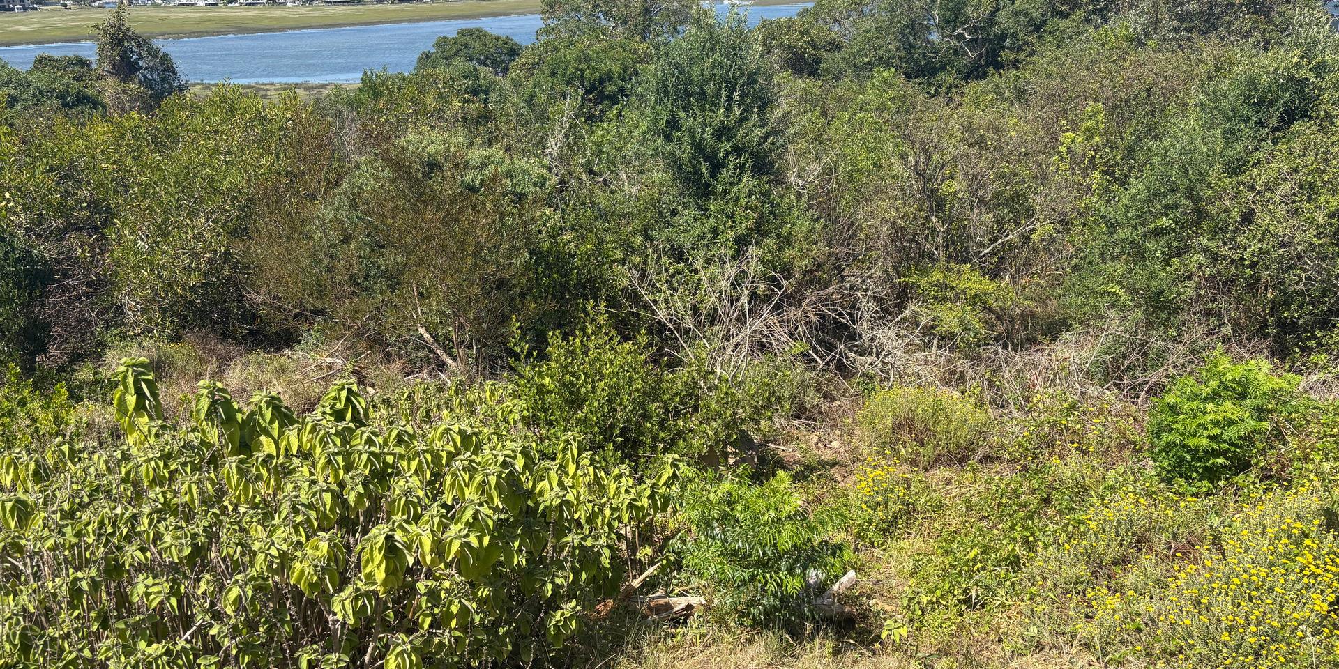 Image 5 of 6
