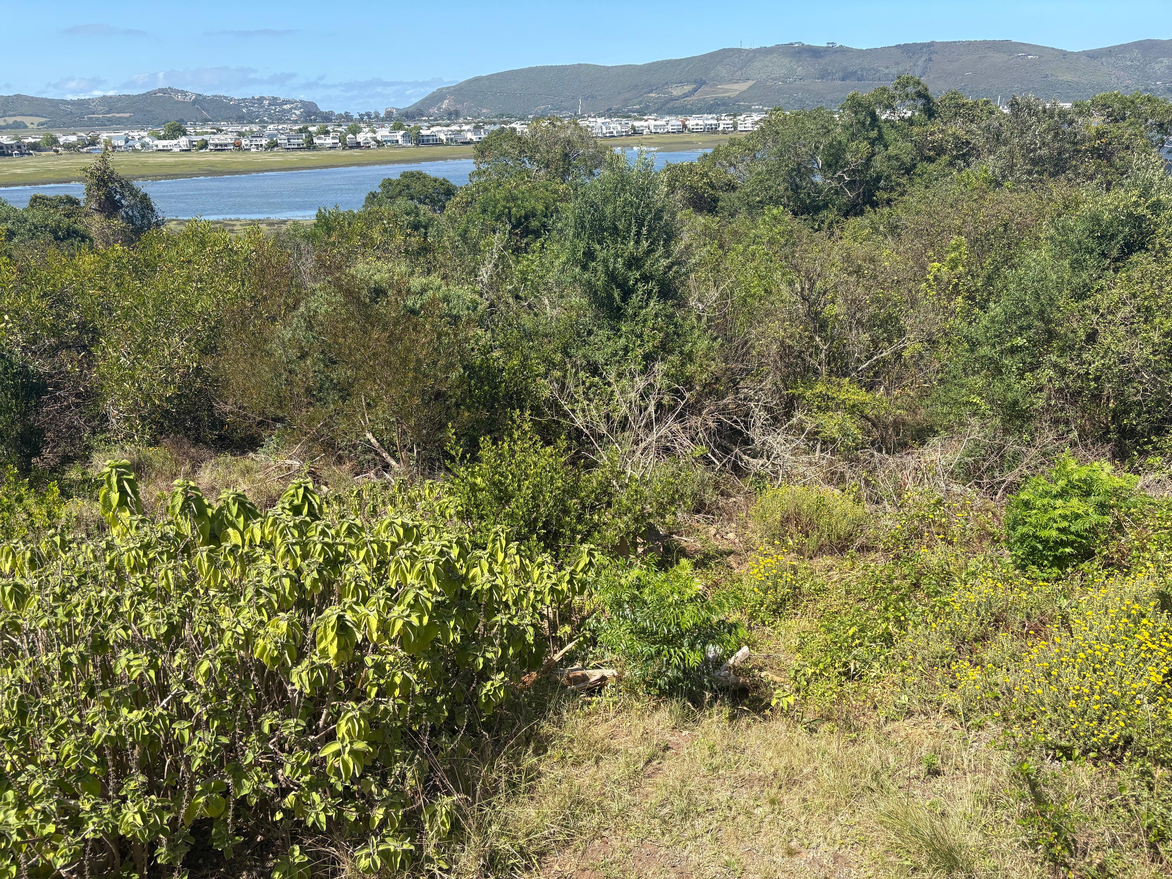 Image 5 of 6