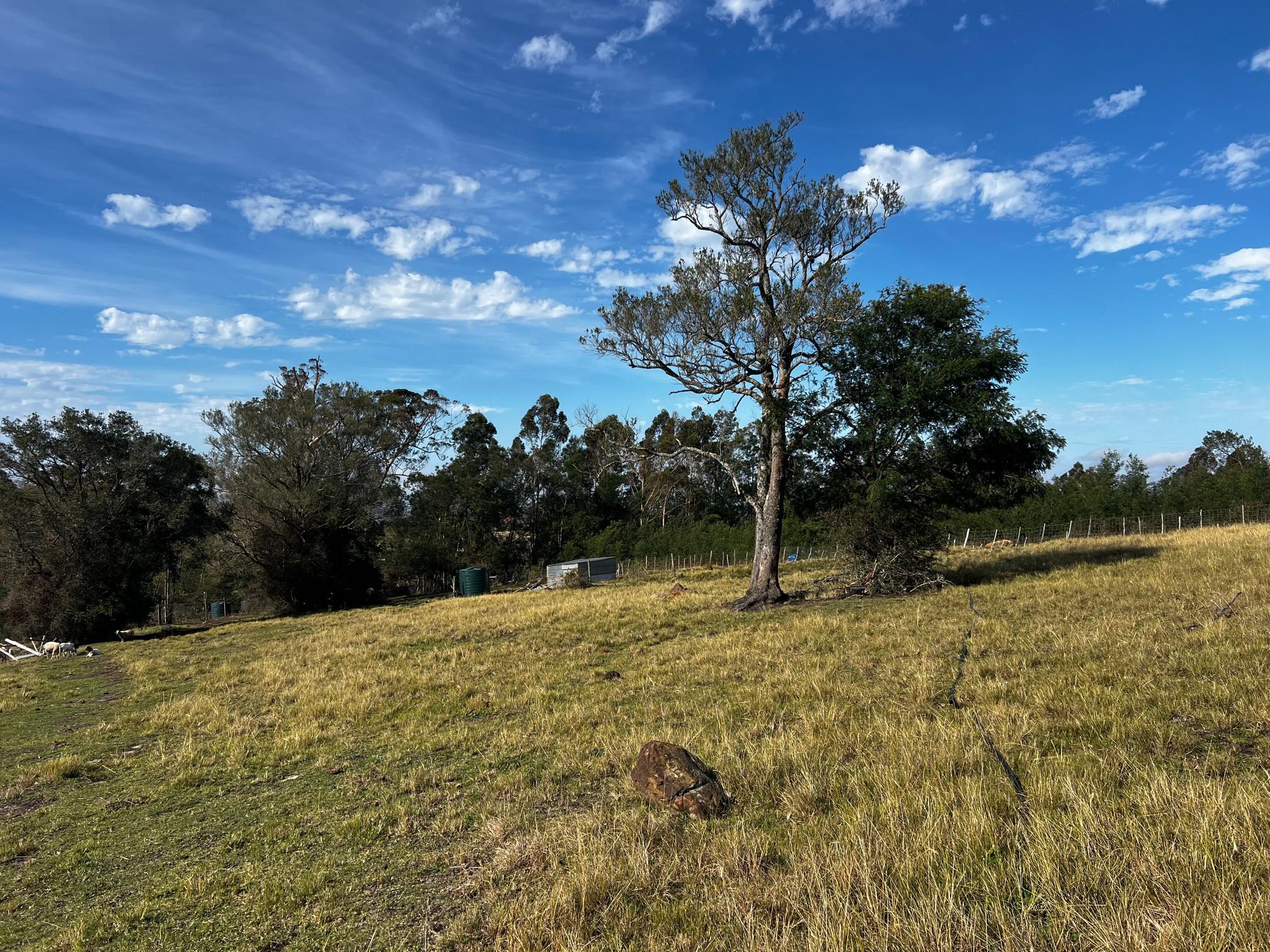 Image 14
