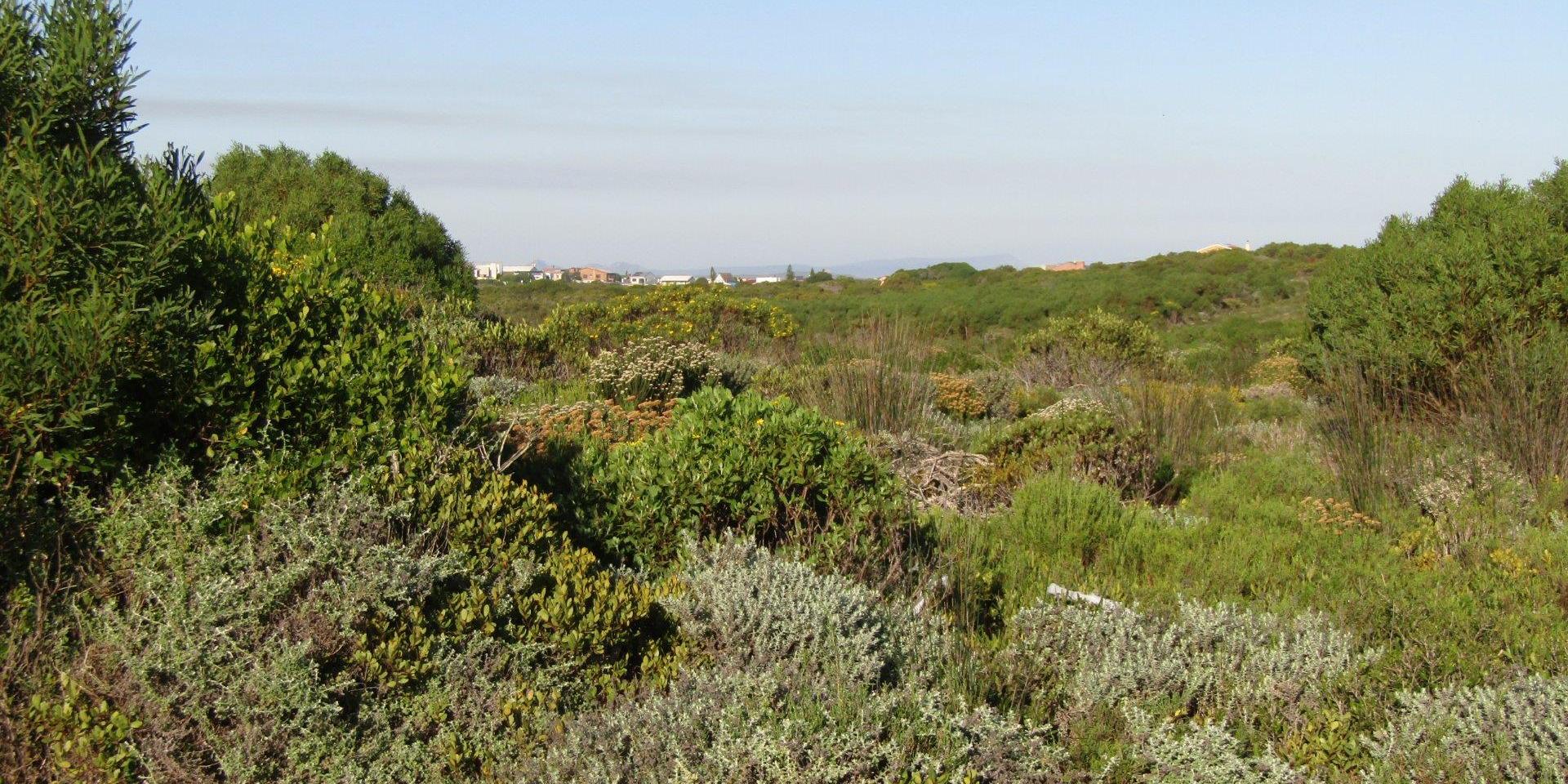 Image 4 of 6