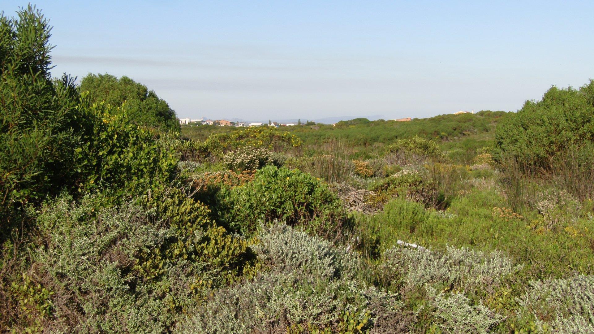 Image 4 of 6