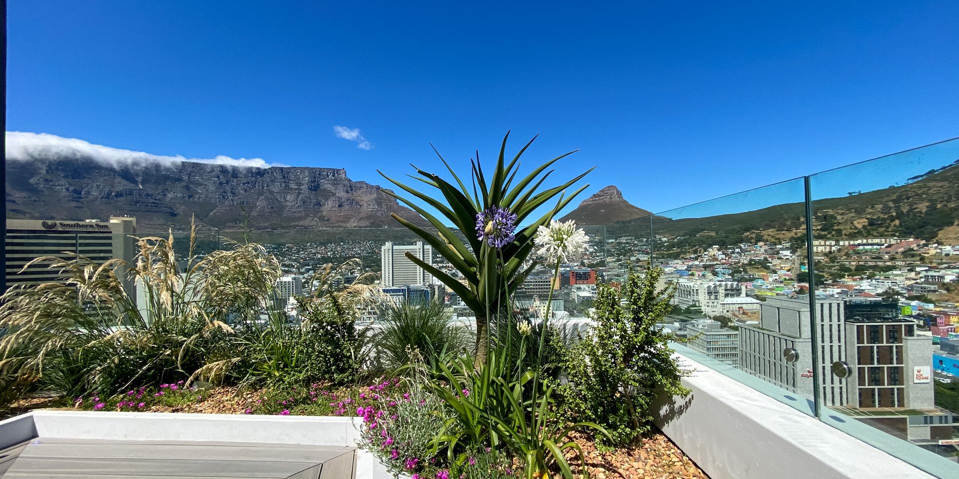 Image 2 of 6