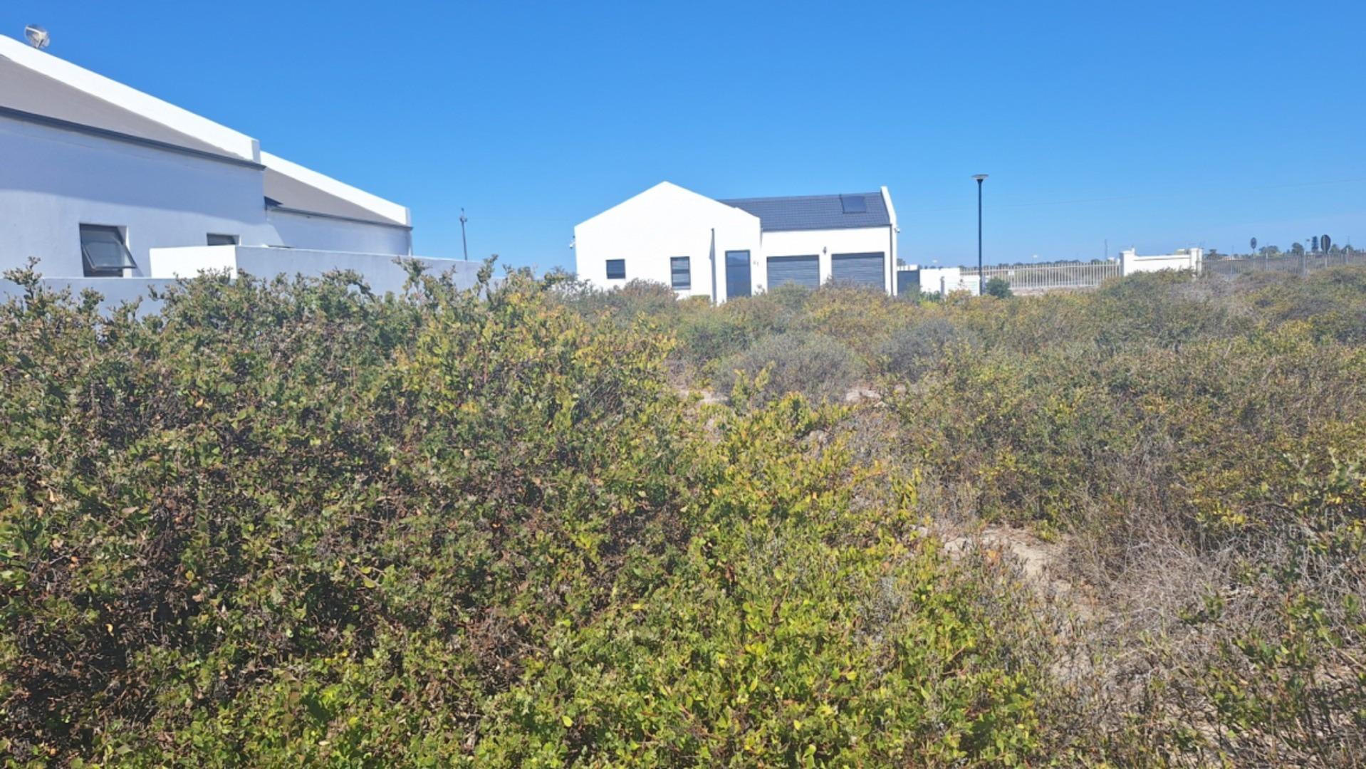 Image 4 of 6