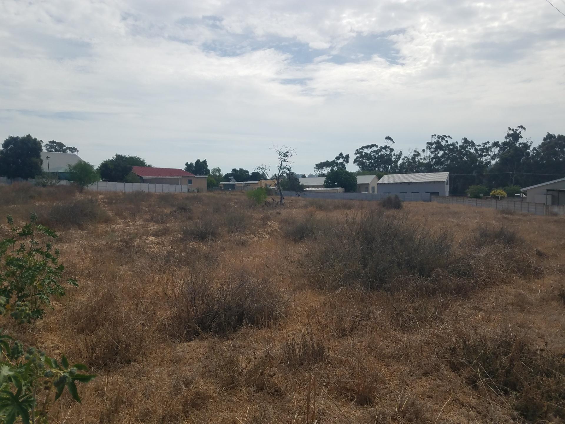 Image 11