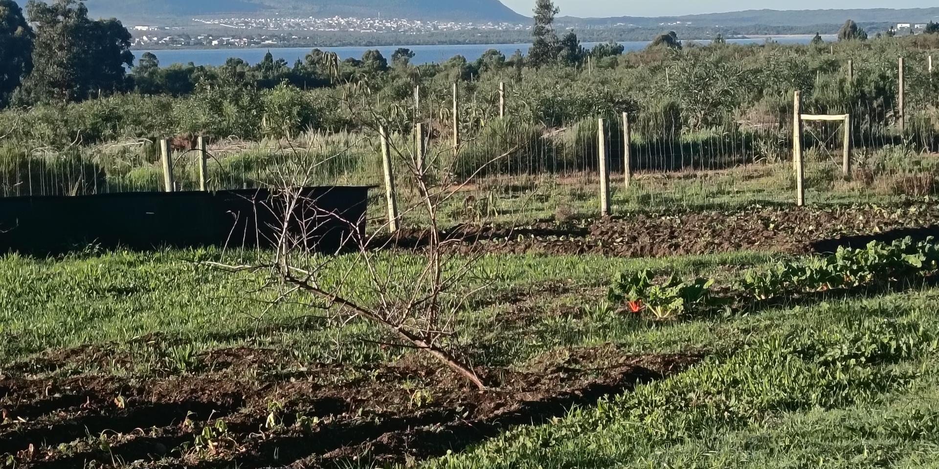 Image 2 of 6