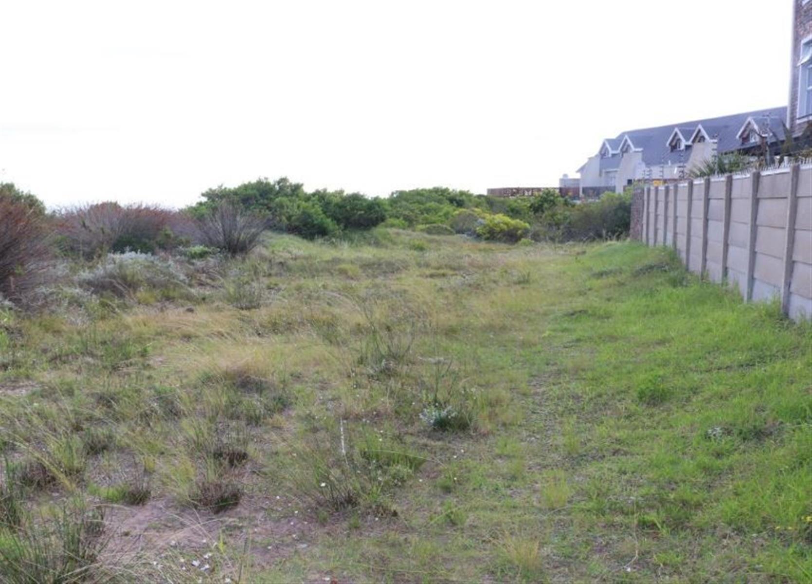 Image 5 of 6
