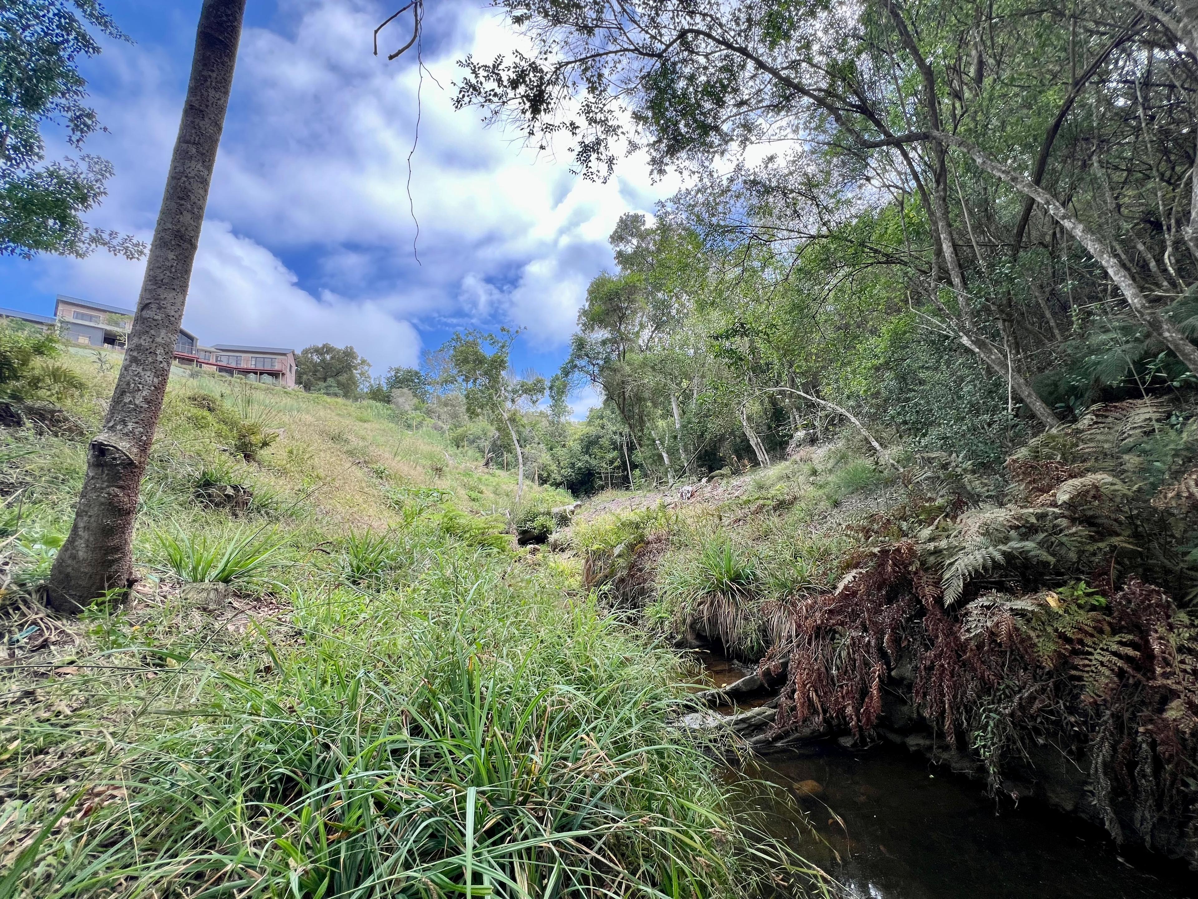 Image 14