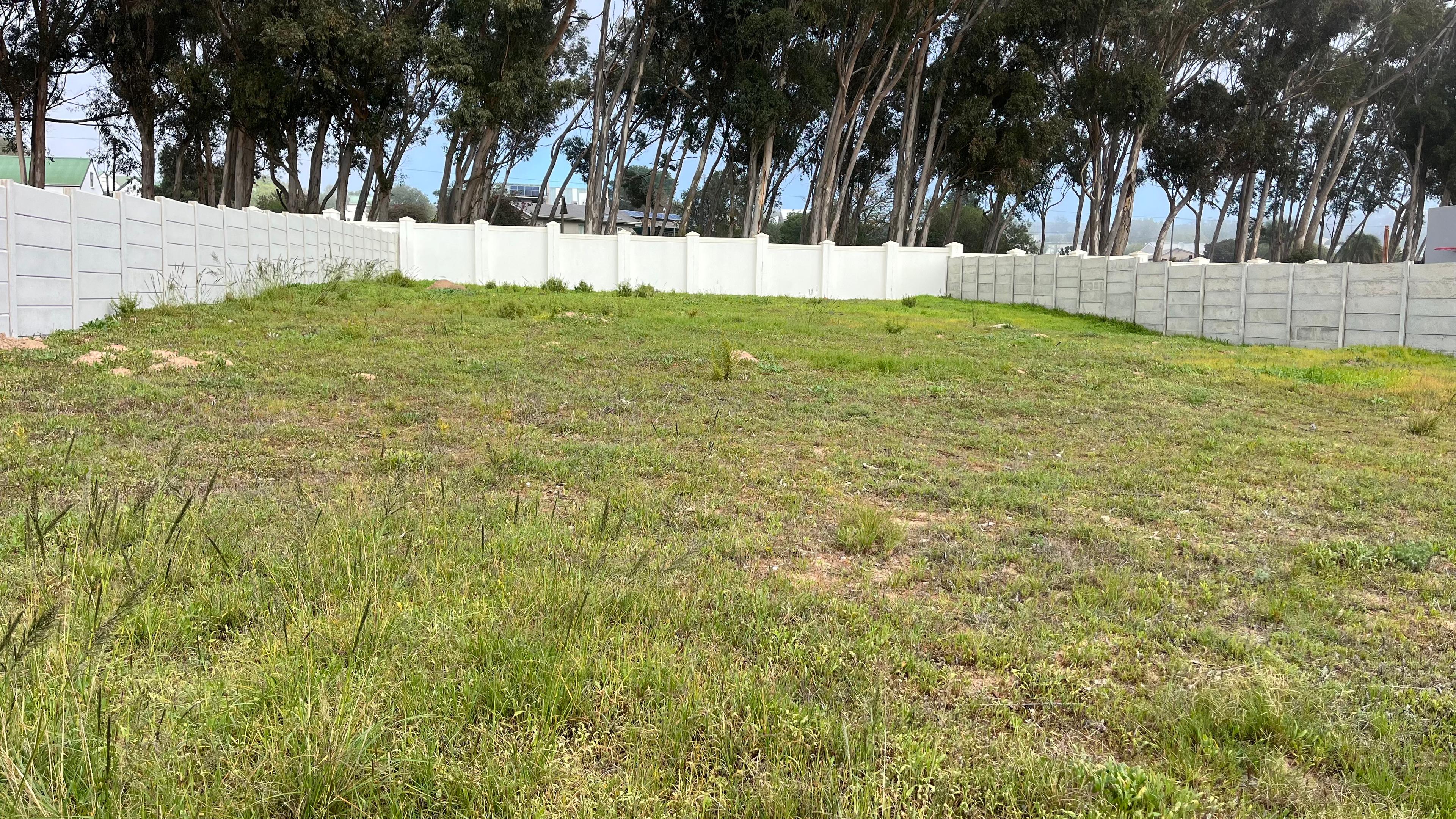 Image 5 of 6