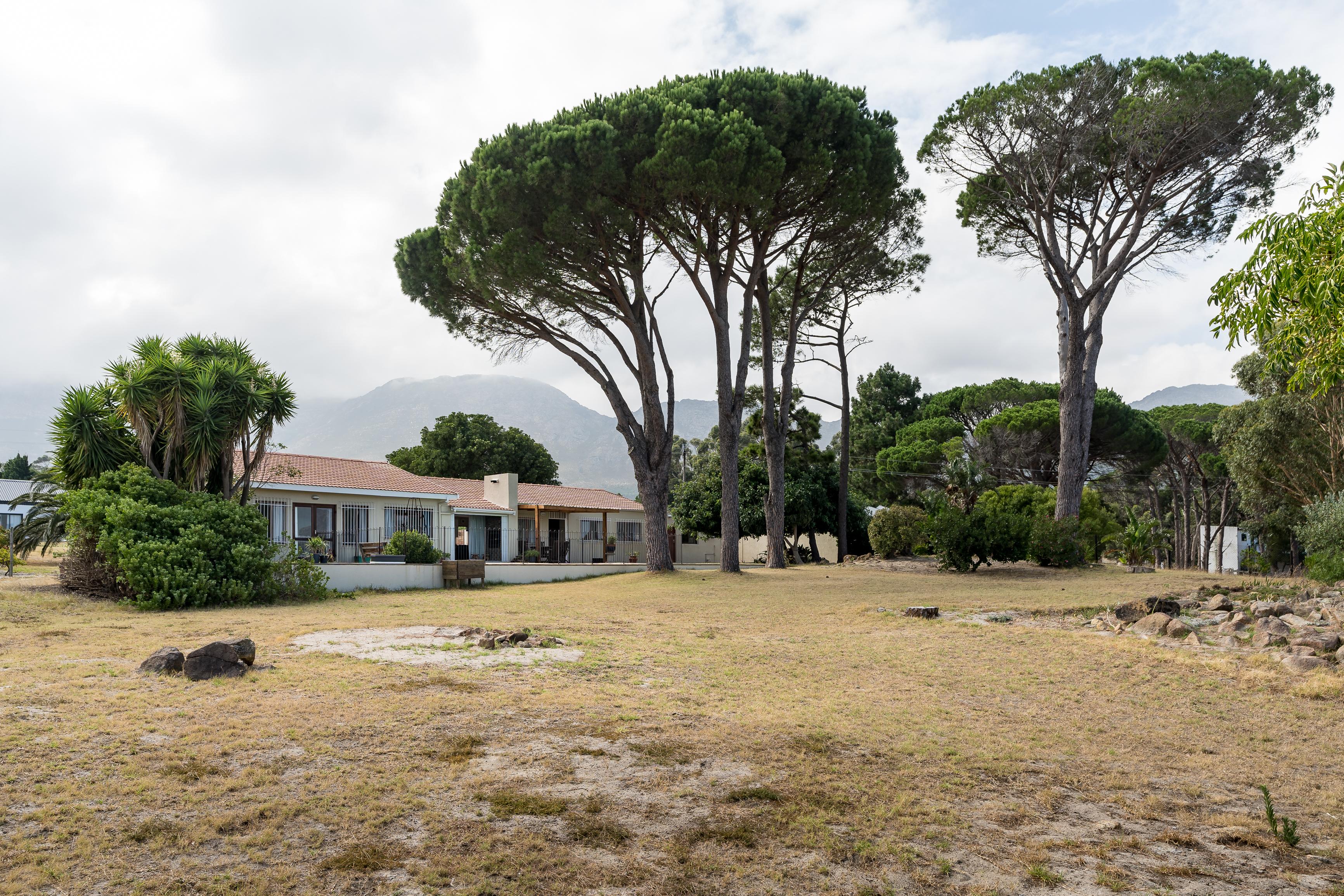 Image 23