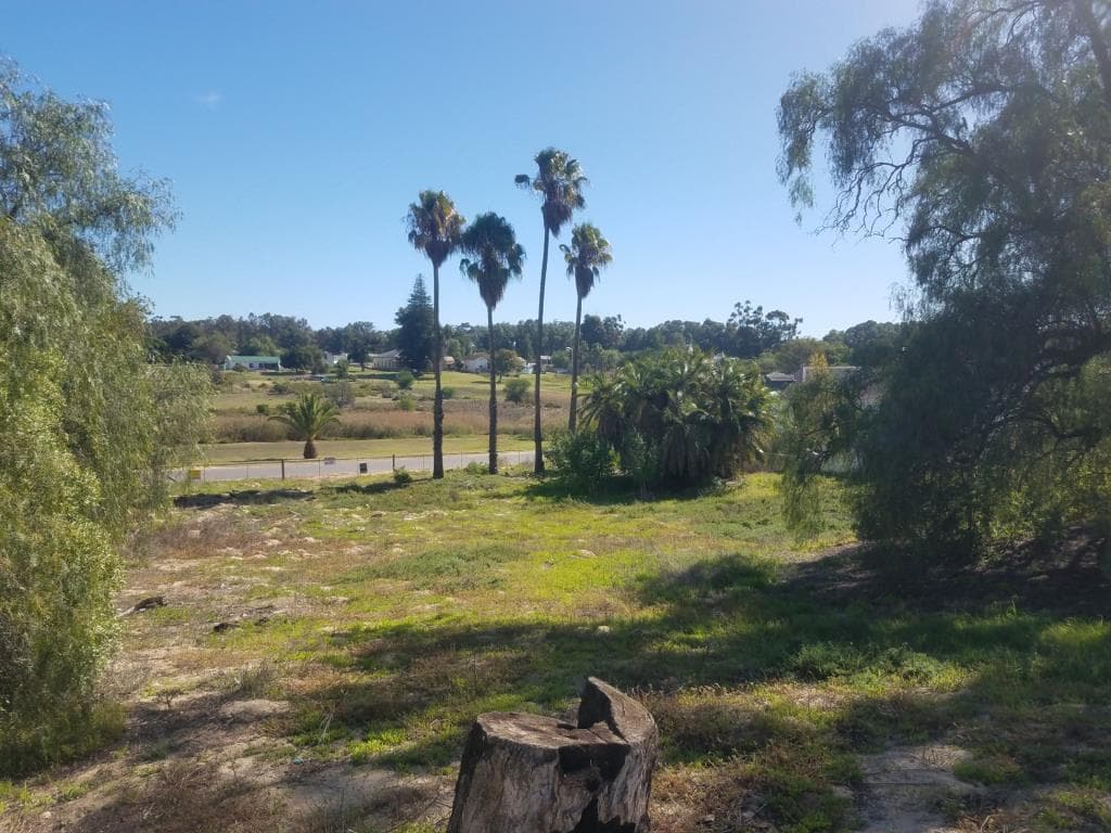 Image 11