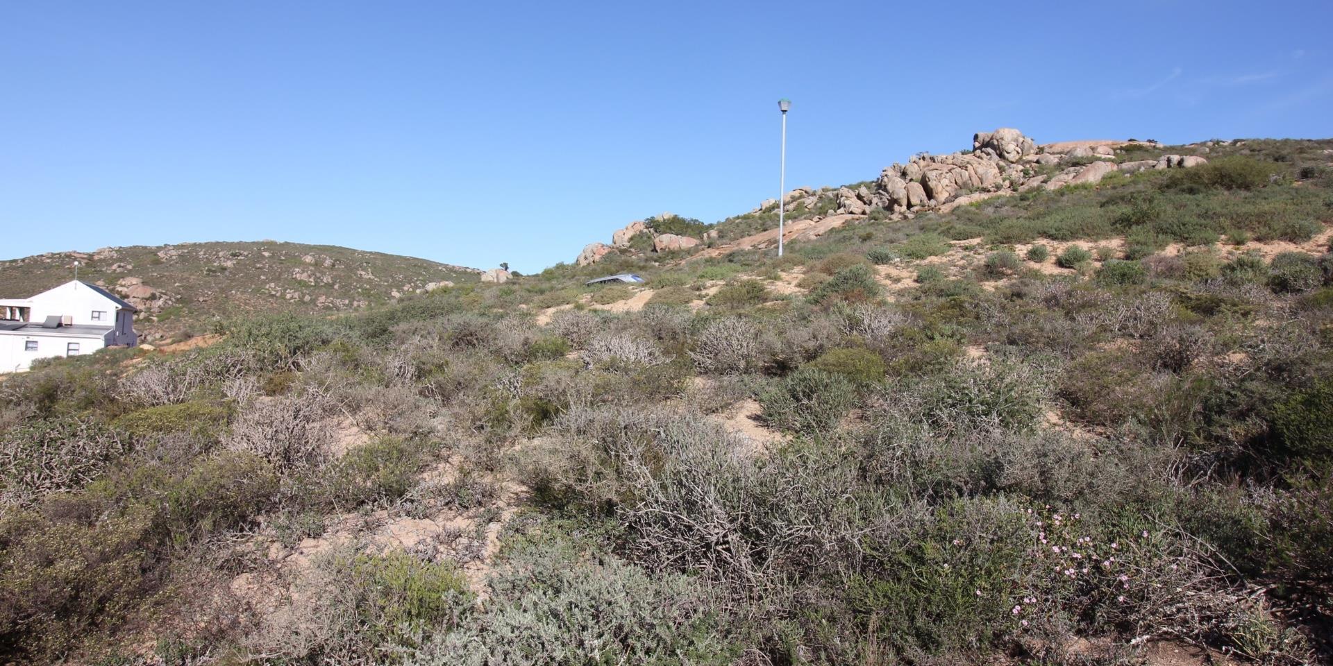 Image 5 of 6