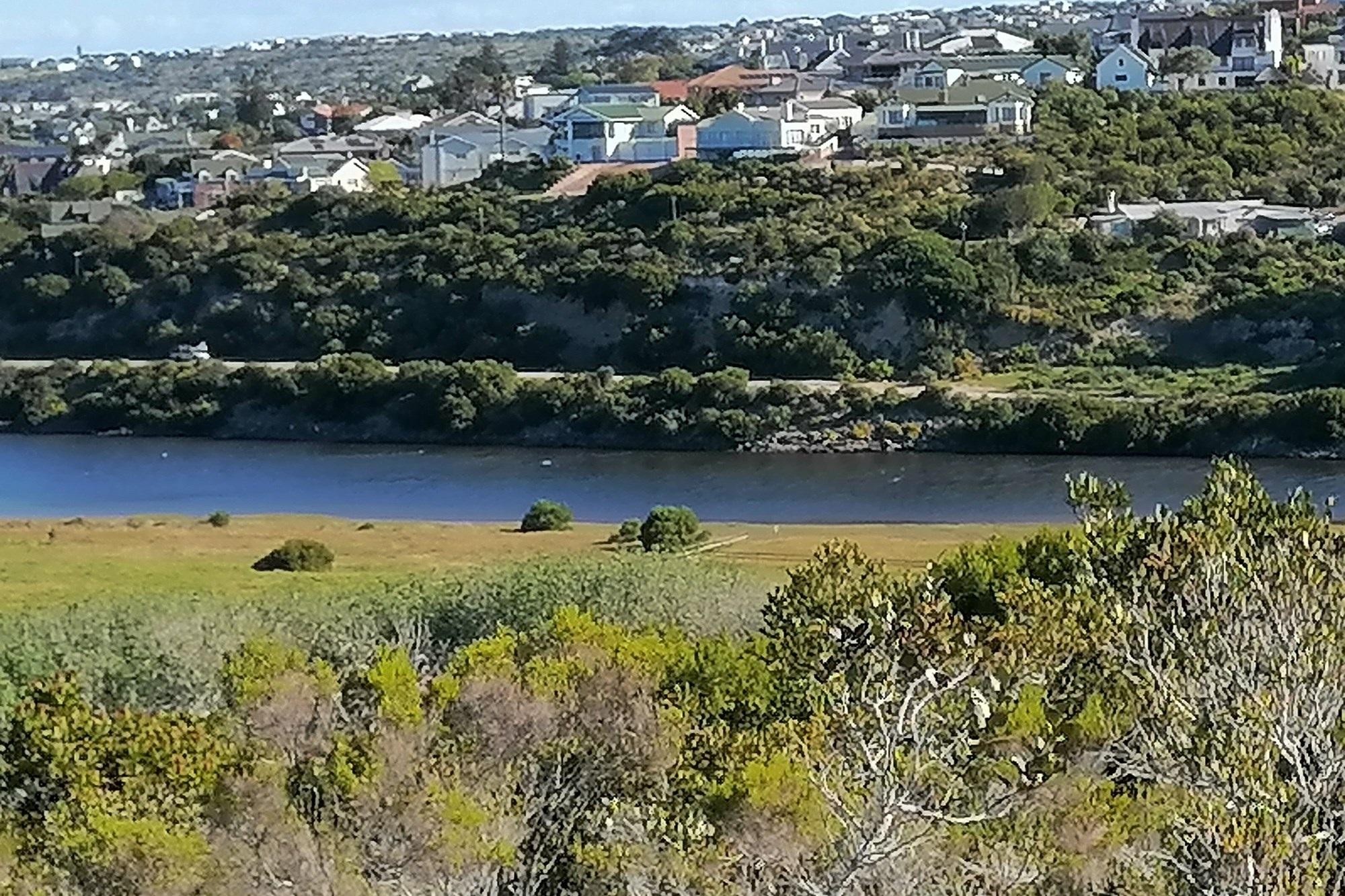 Image 4 of 6