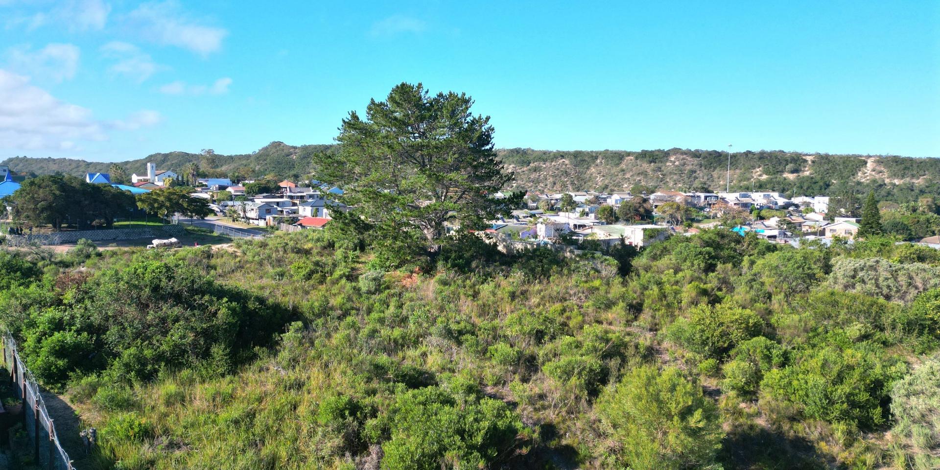 Image 3 of 6